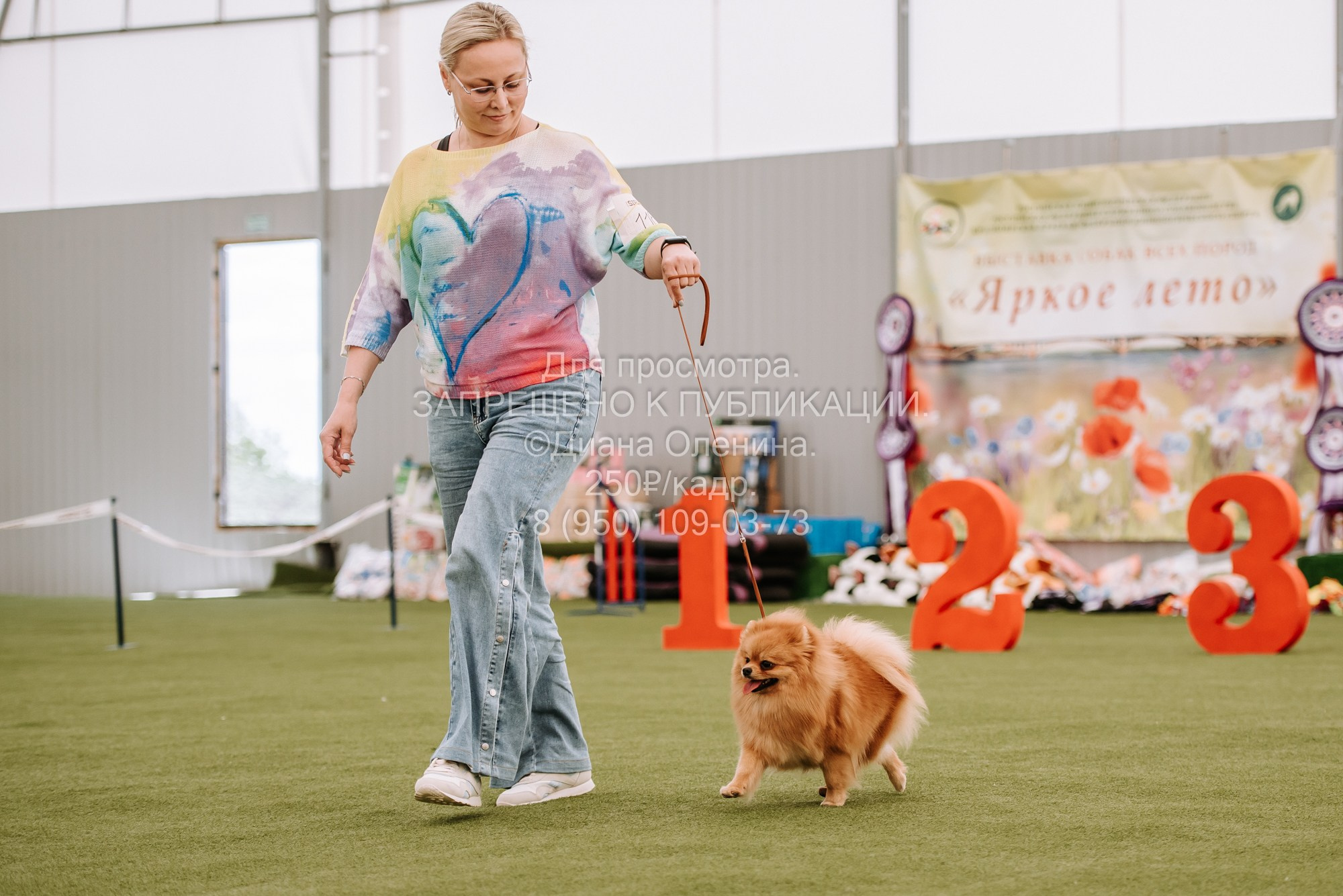 Выставка собак Красноярск 2.06. Фотограф Диана Оленина Красноярск / Братск