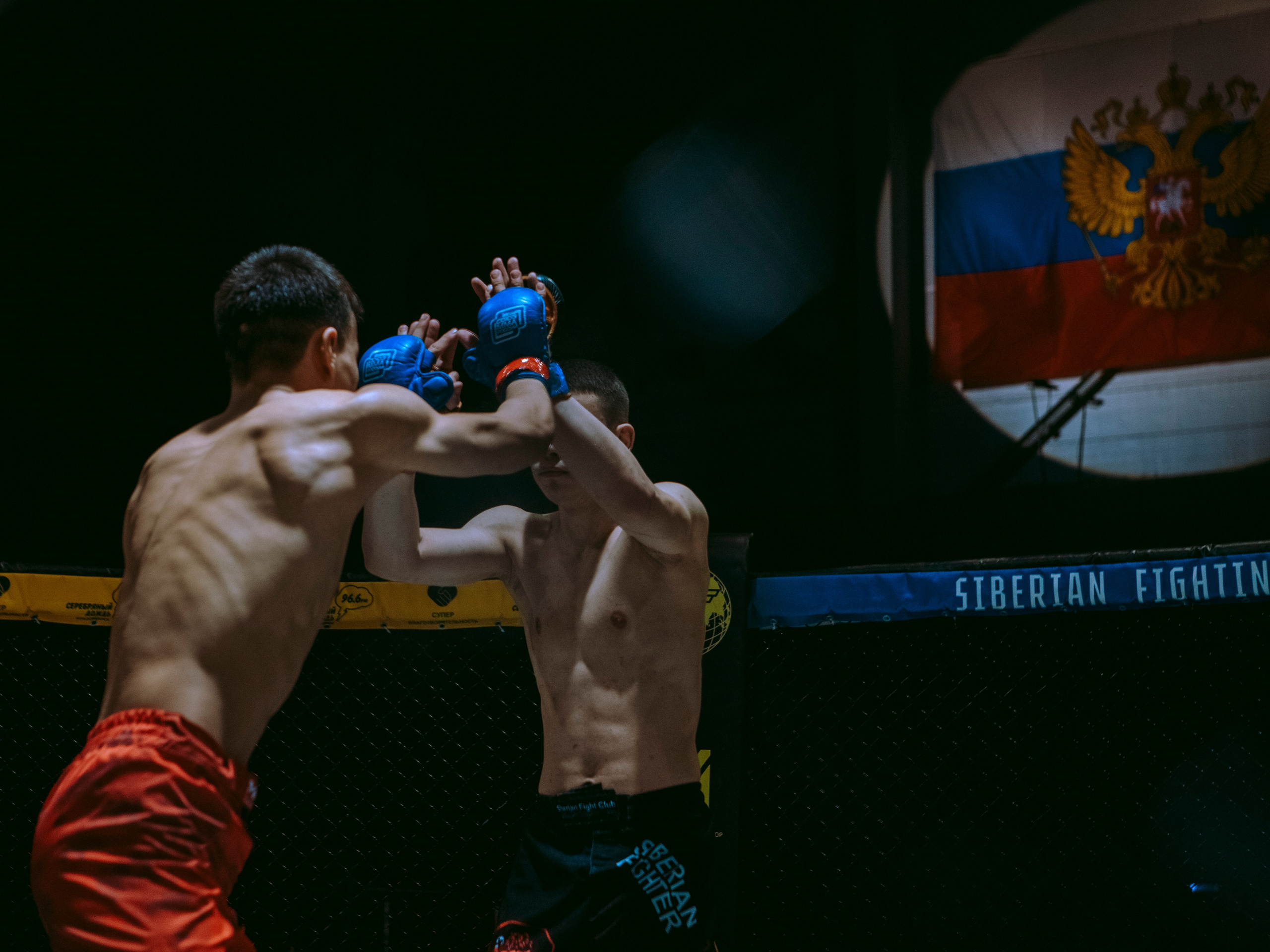 SFL 17 | Siberian Fighting League. Портретный фотограф в Москве Дарья Цезария