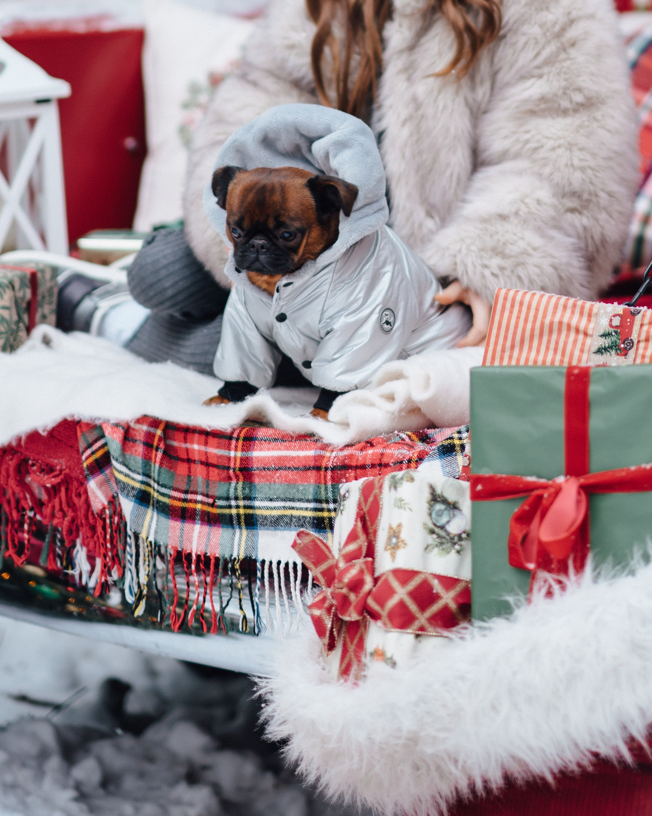 New Year. Red Car. Творческий фотограф взрослых и детей в Москве Анна Блифернец