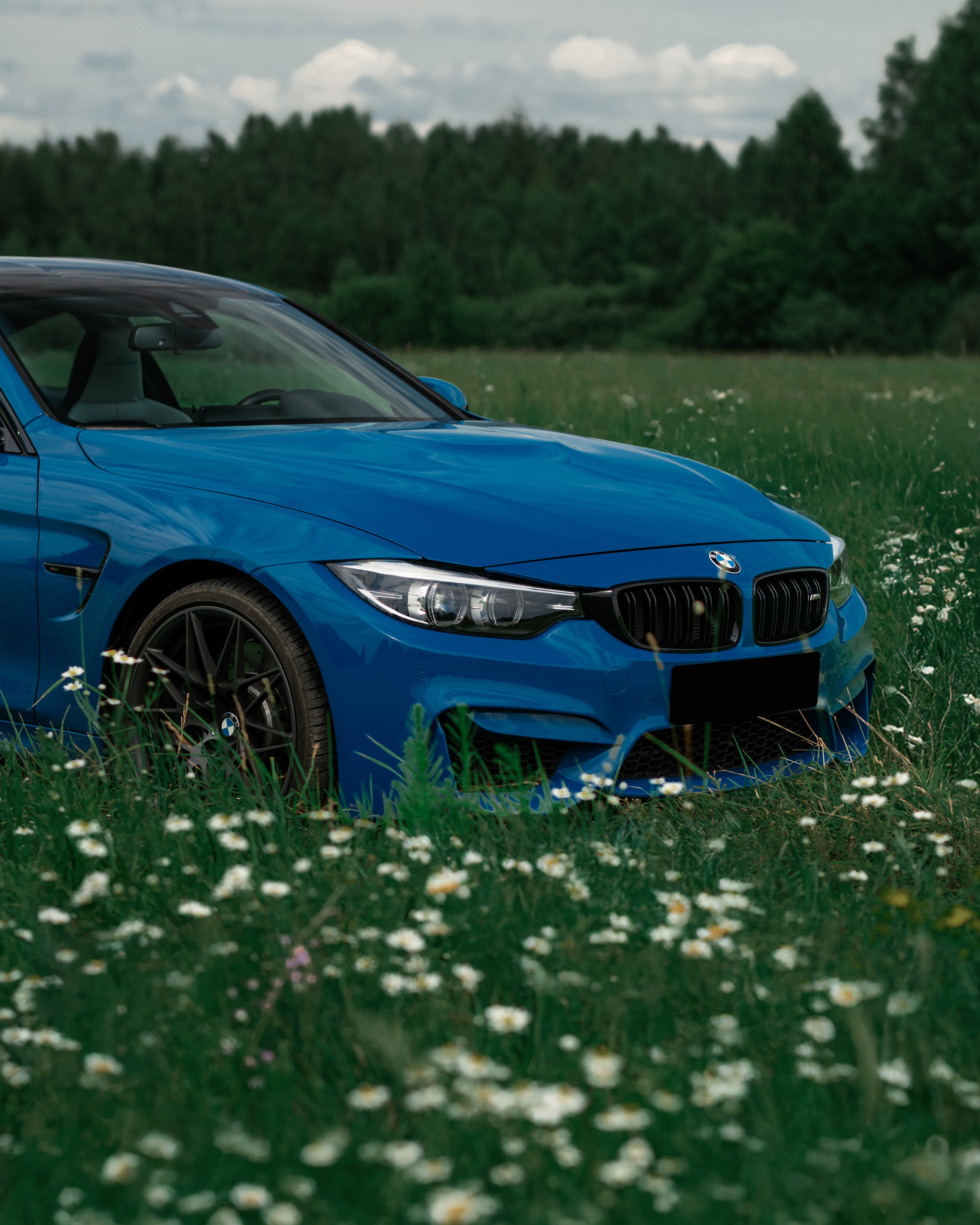 Bmw M4 Heritage Edition 1/750. DeLorein