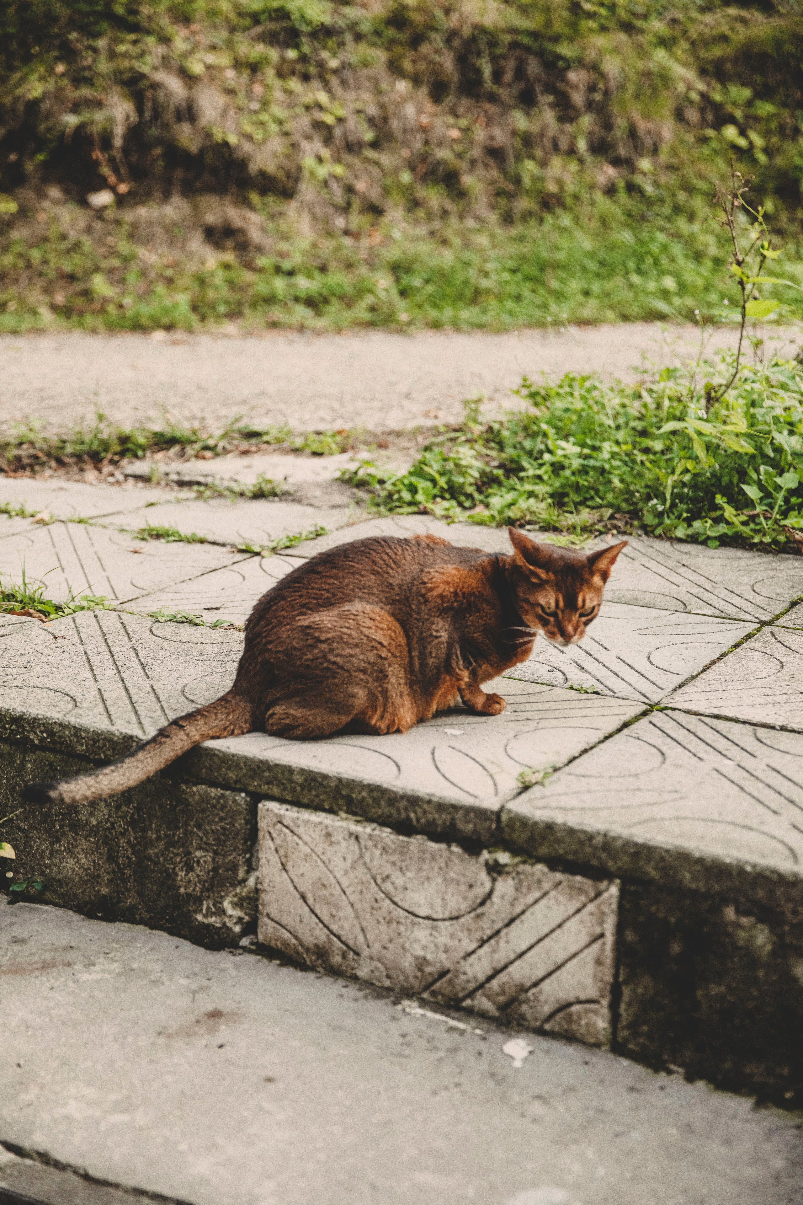 Семья Татьяны. Свадебный и семейный фотограф Колоскова Мария (Сочи и весь мир)