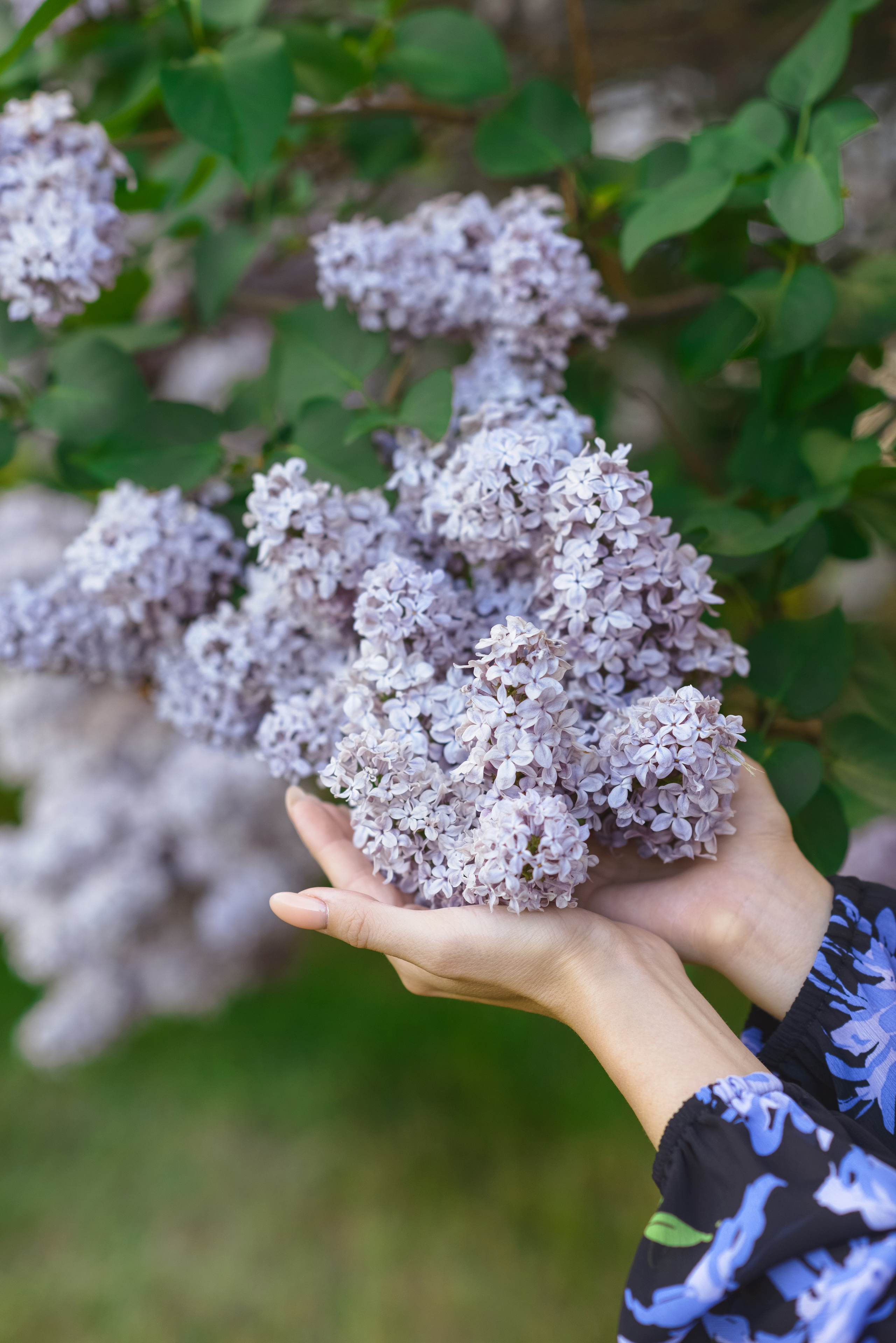Елена. Фотограф в Санкт-Петербурге Катя Прудникова