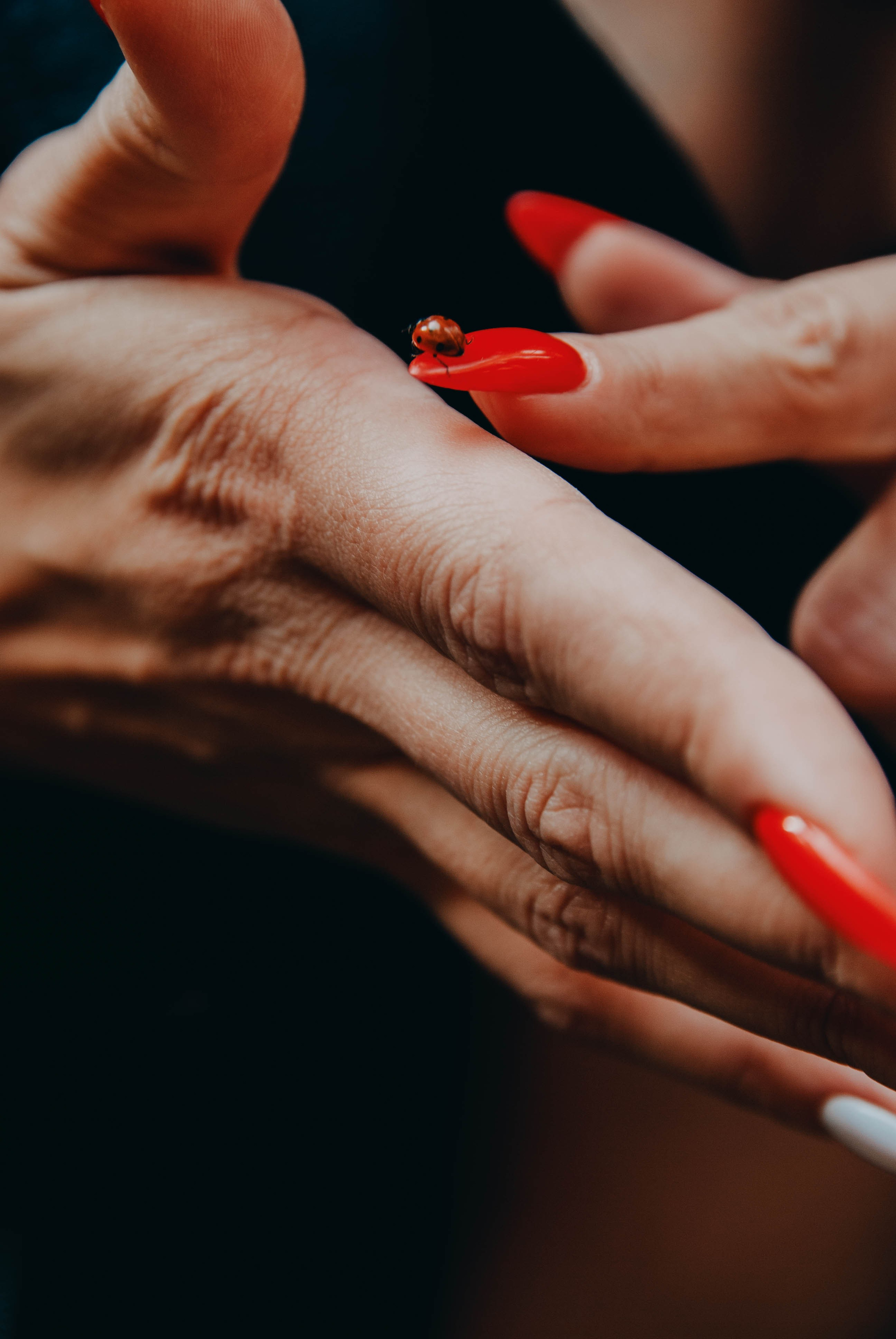 Женский портрет. Кошенкова Мария: портретный и репортажный фотограф. Санкт-Петербург