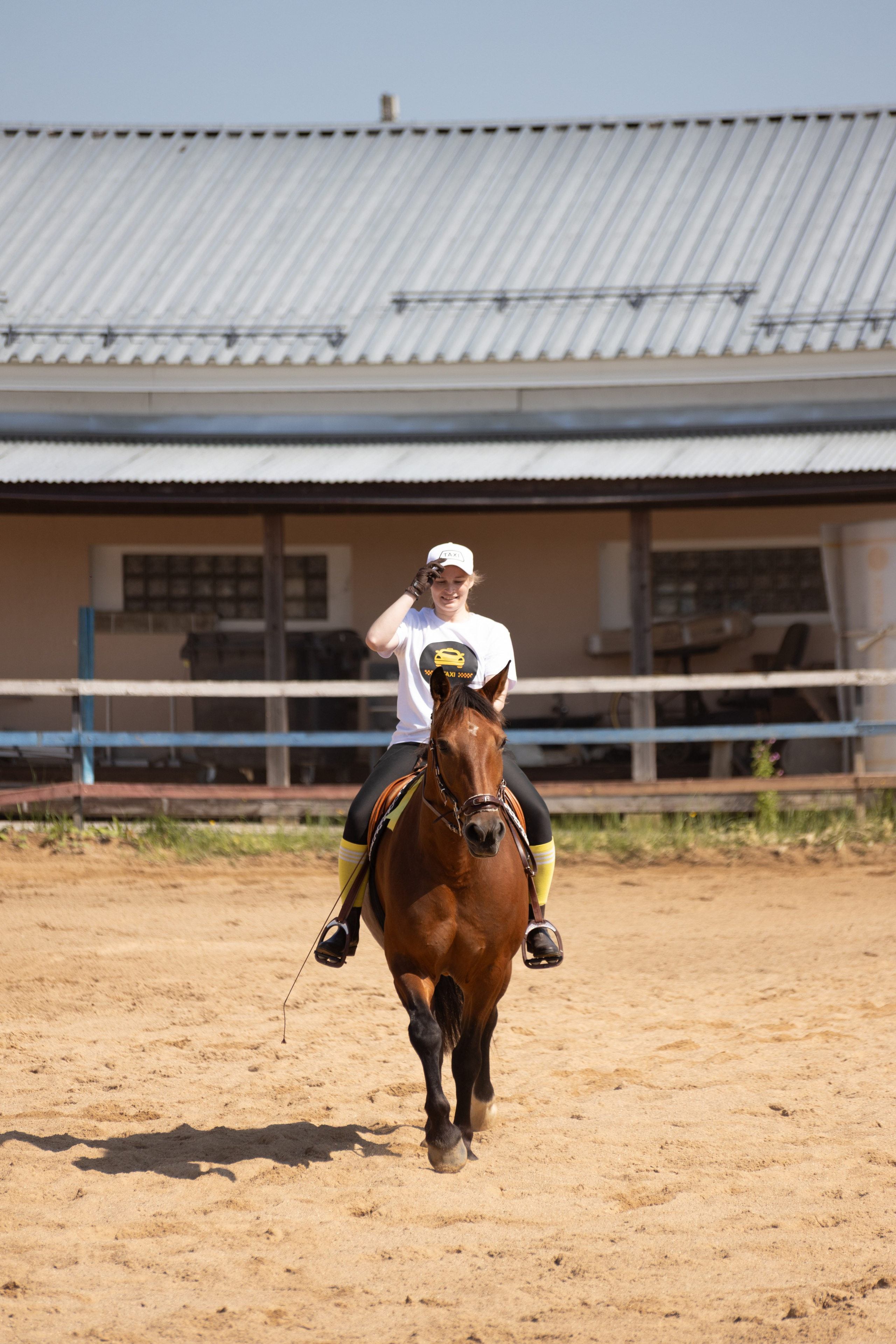 Конюшня. Фотограф в Москве и Истре