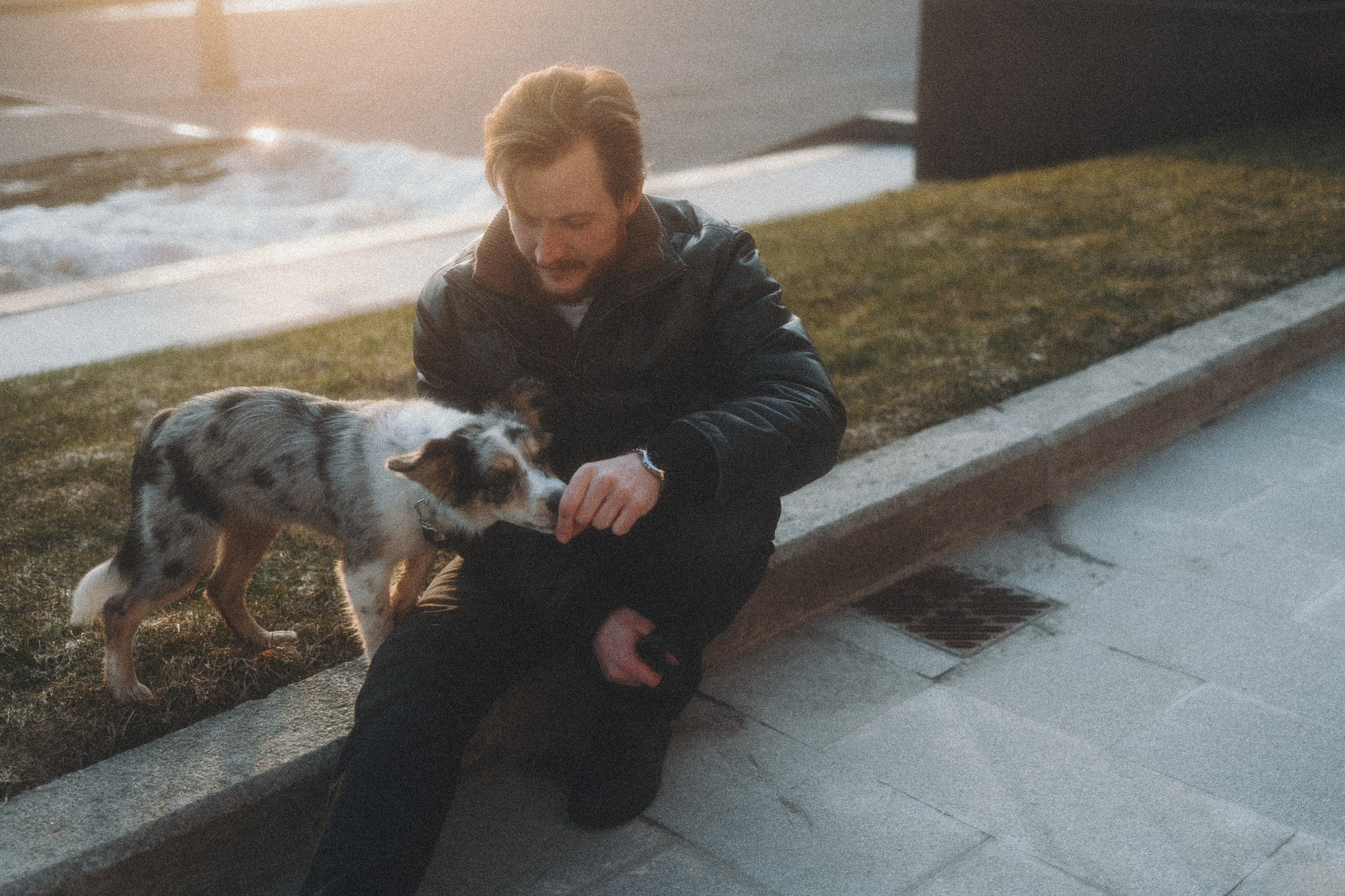 Балу и Илья. Фотограф анималист Анастасия Пикей
