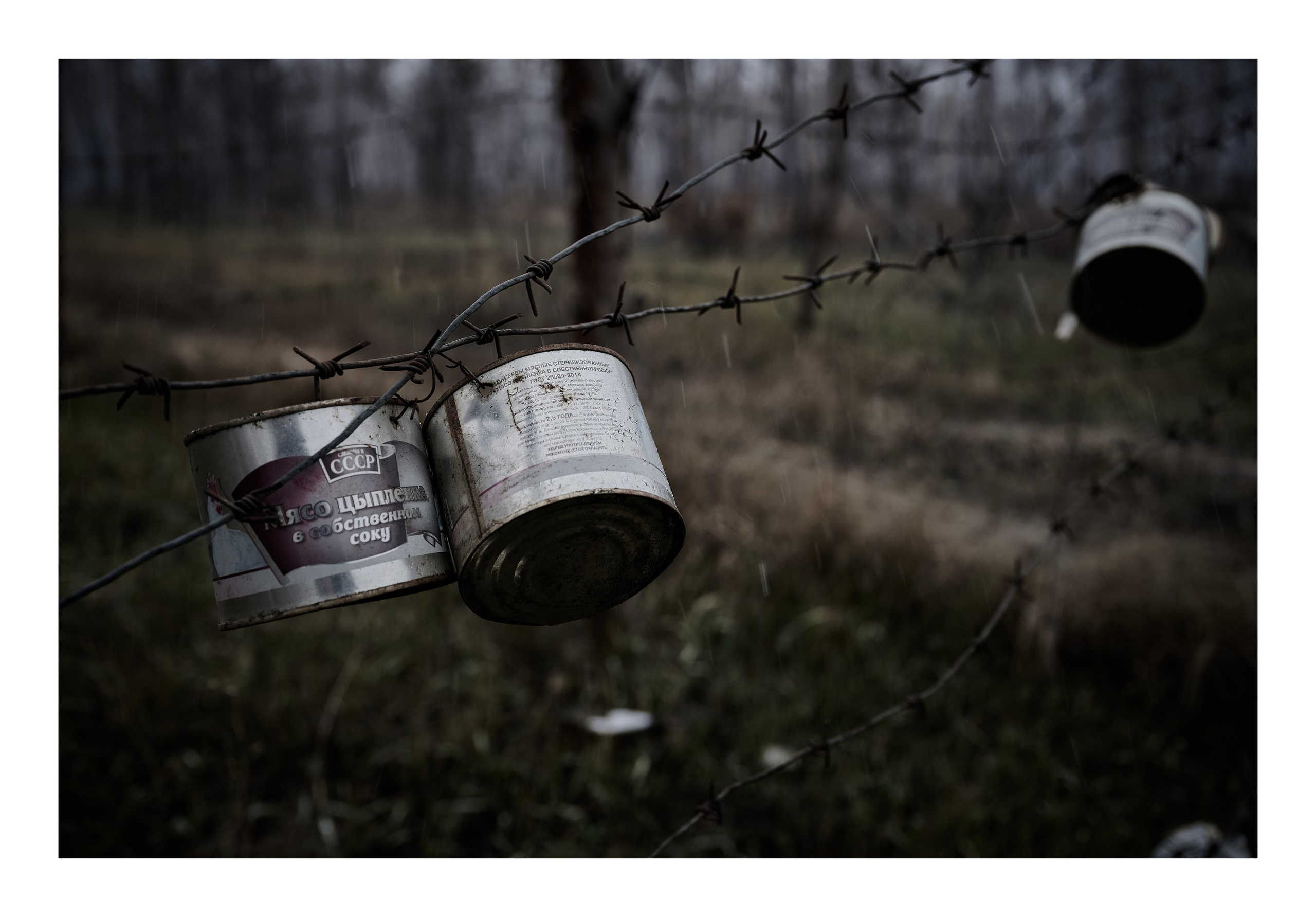 Фотопринты А3. Фотопроект «Территории»