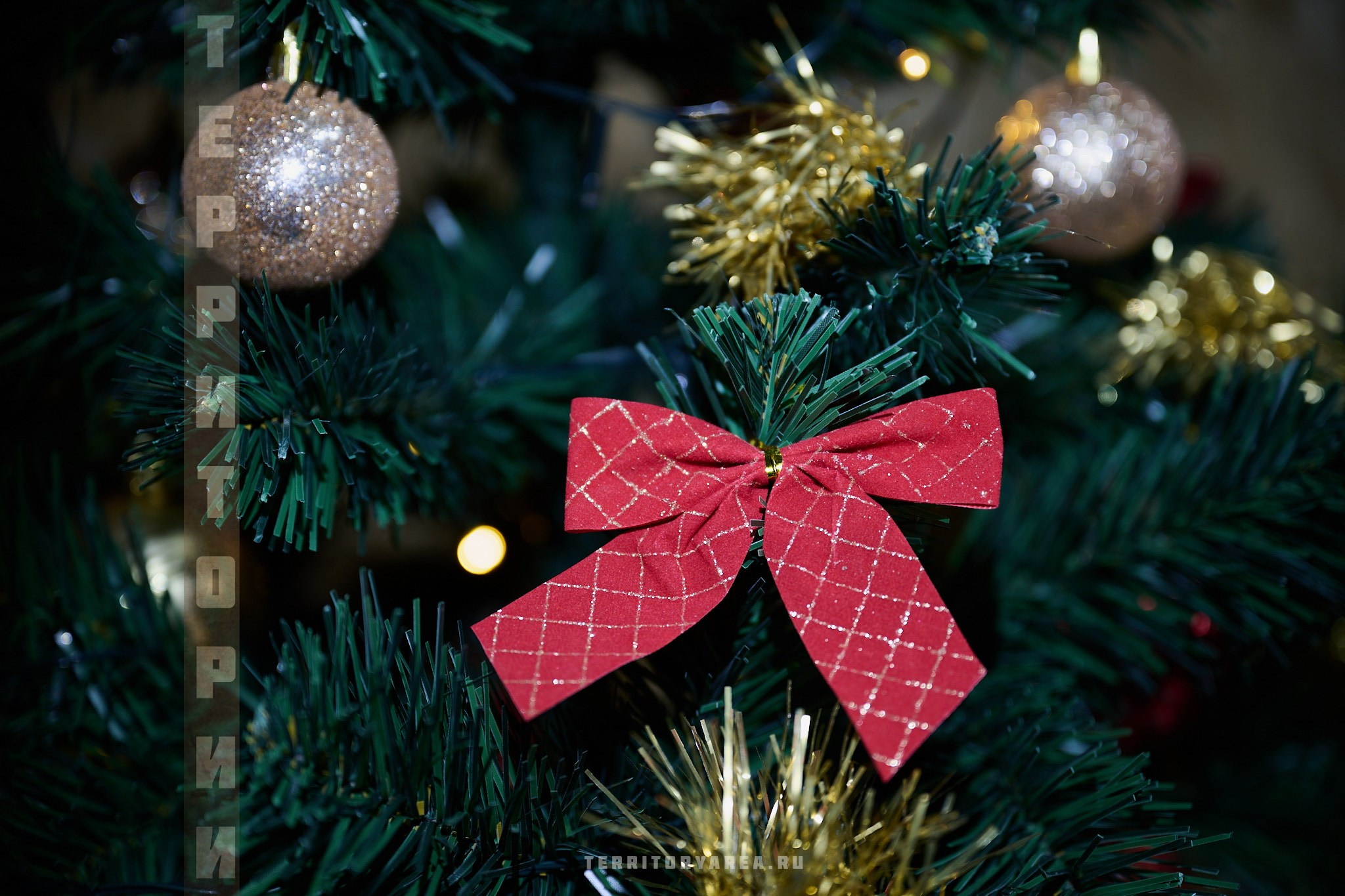 Открытки фотопроекта «Территории». Фотопроект «Территории»