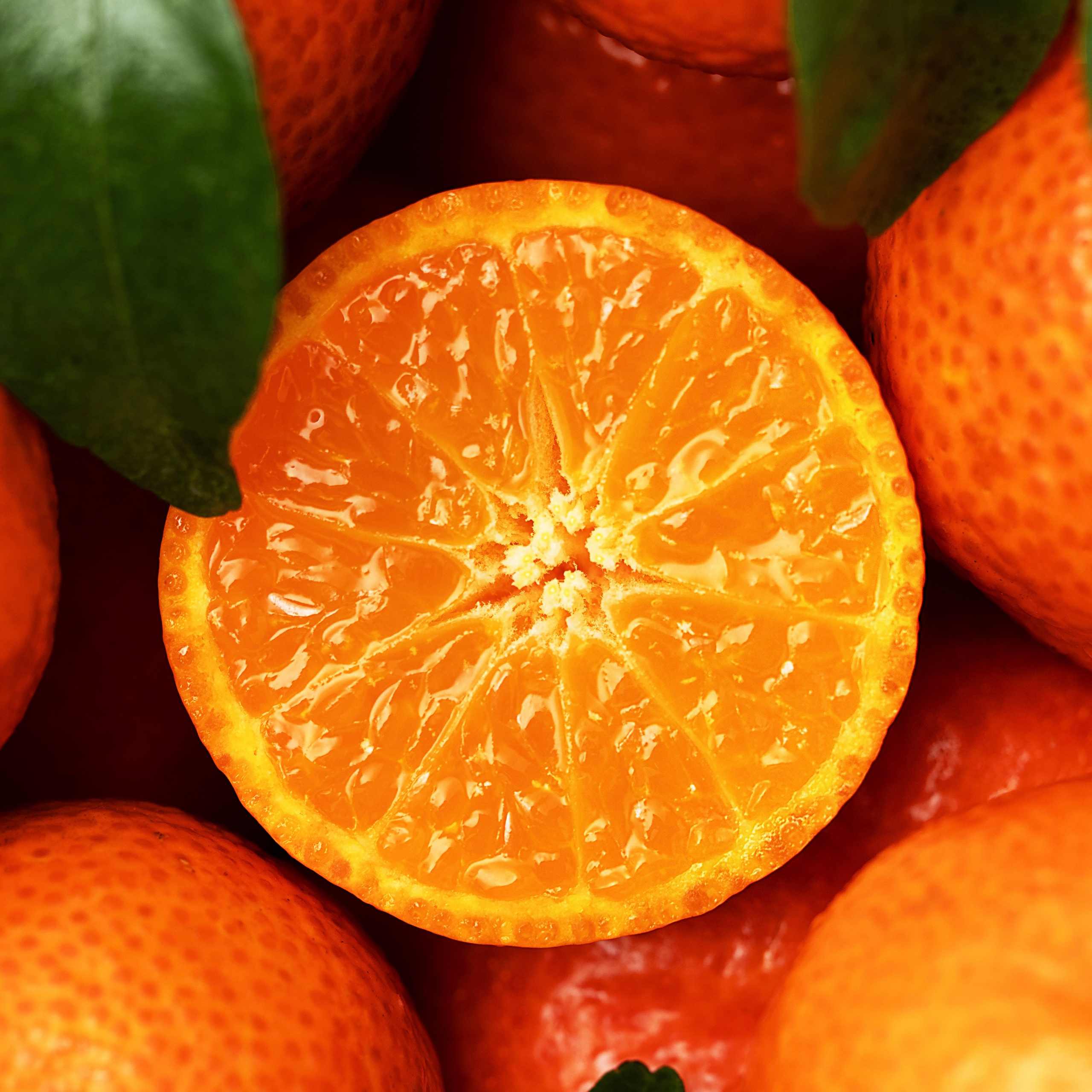 Макросъёмка продуктов. Фуд-фотограф и предметный фотограф в Москве Анна Первова