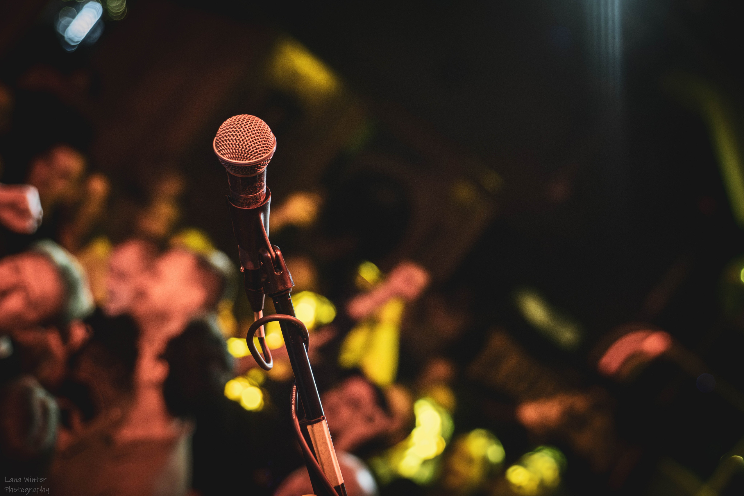 Trubetskoy (23 февраля 2025 года, Москва, клуб StereoPeople). Фотограф Светлана Блинова, Москва и Московская область