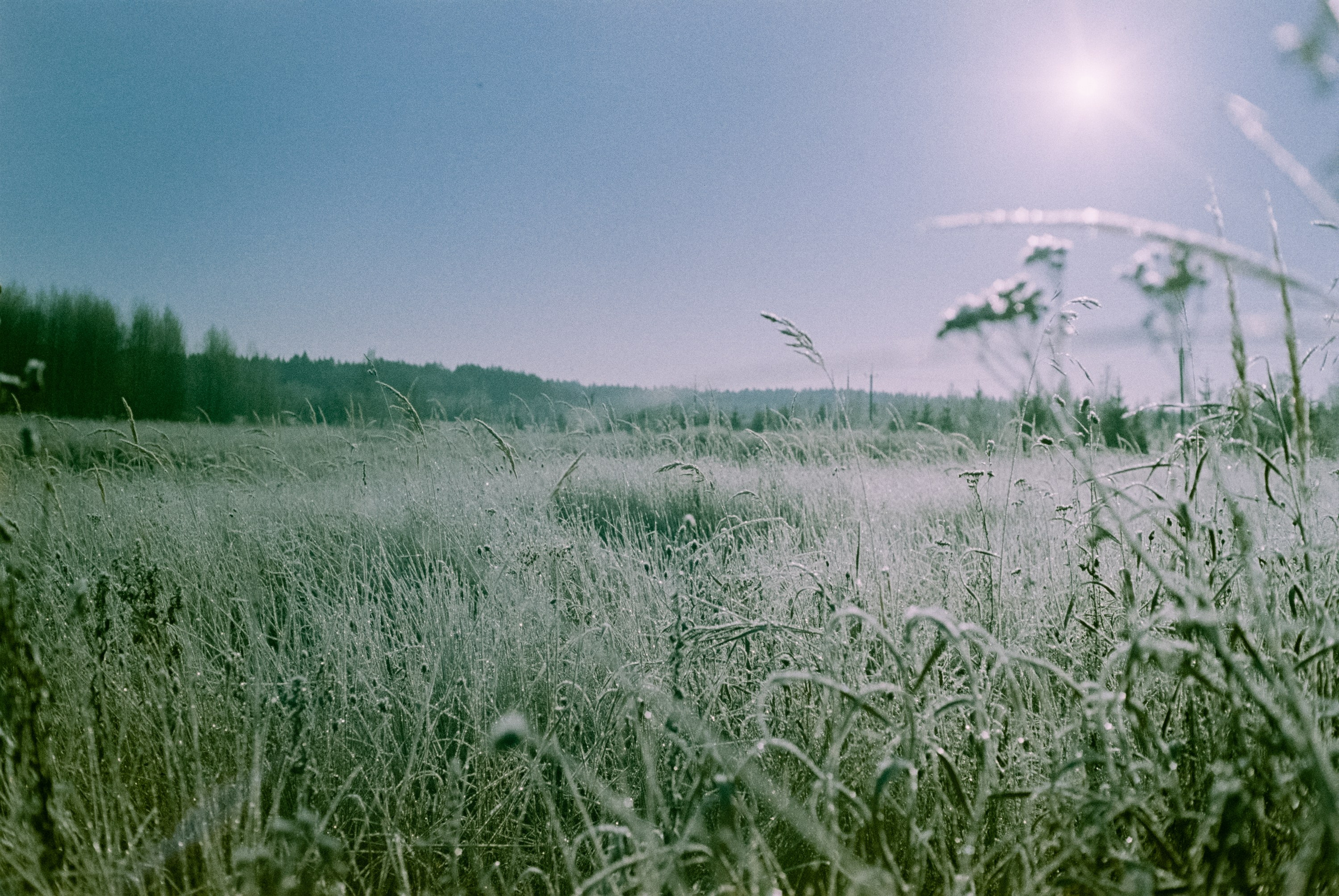 Minolta Hi-Matic 7sII / Kodak Color 200 (просрочка) / Лукино