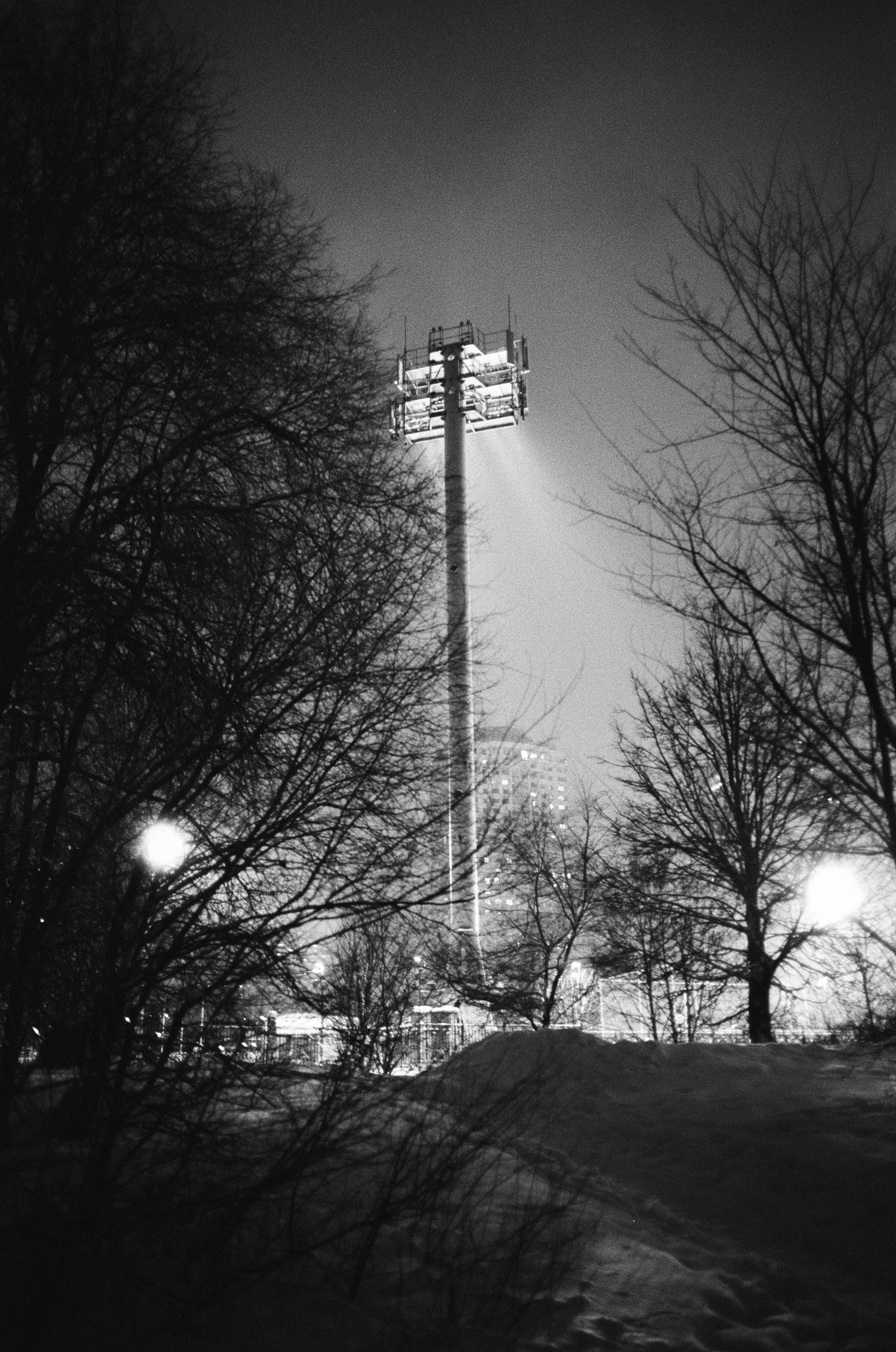 Voigtlander BESSA-T / Ultron 28 mm f/2 / Ilford PAN 400