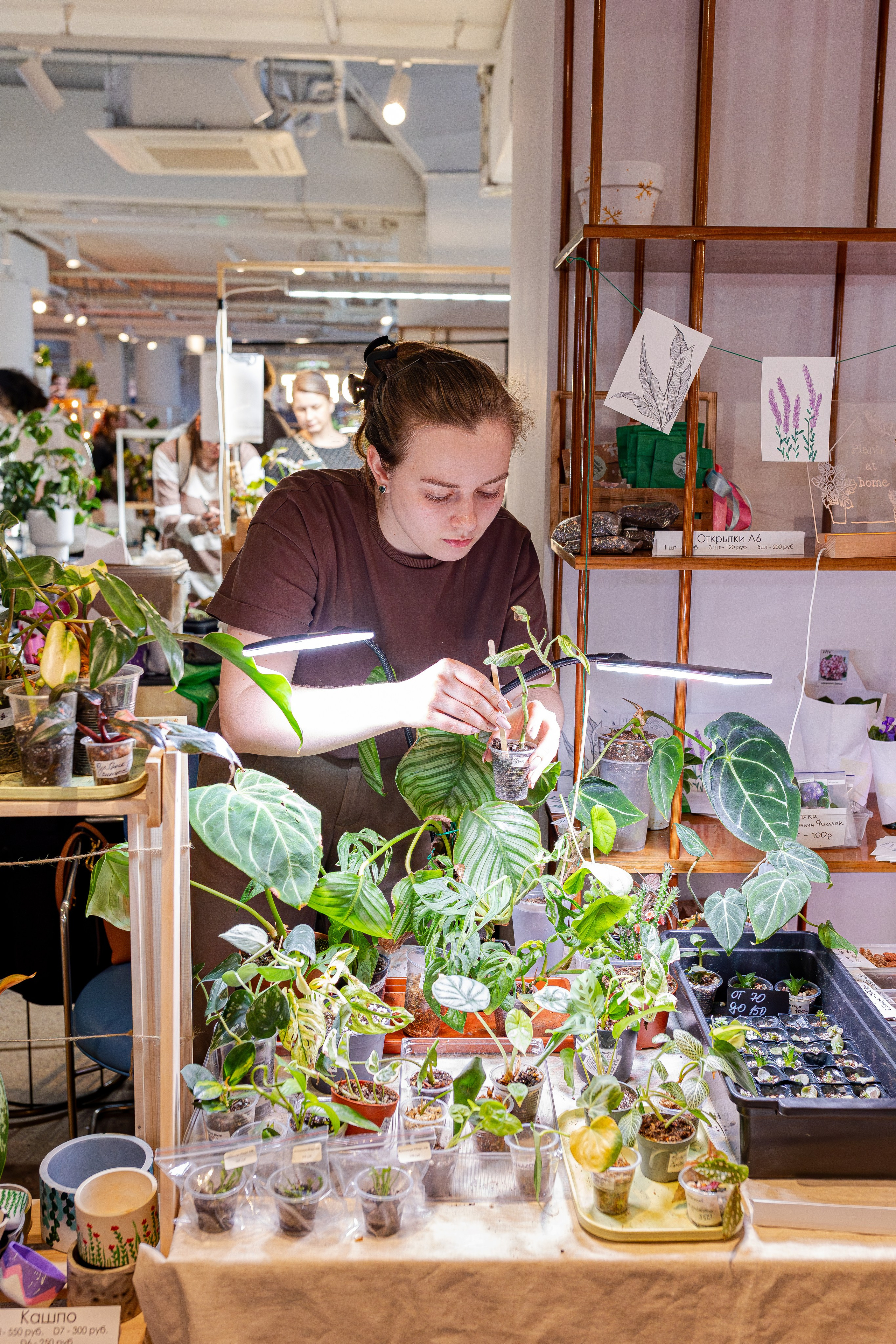 Growbox 1–2 марта. Александра Куликова фотограф, Москва