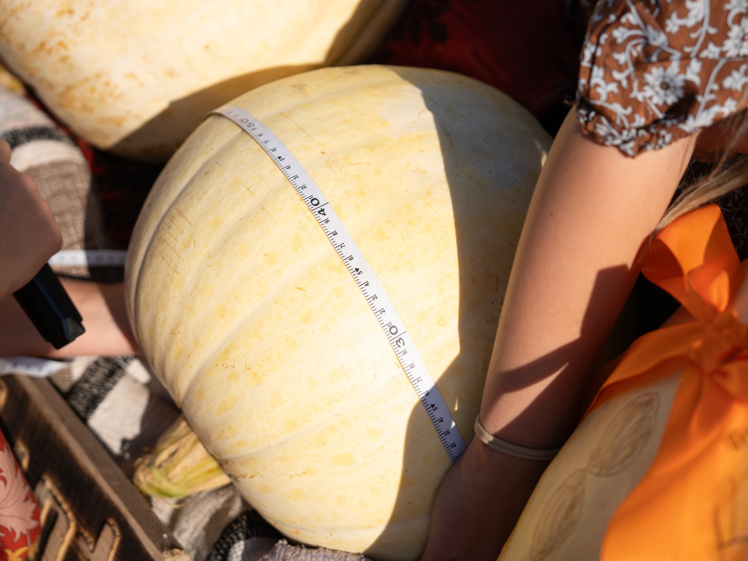 Ярмарка. Фотограф Наталья Сорока Ижевск