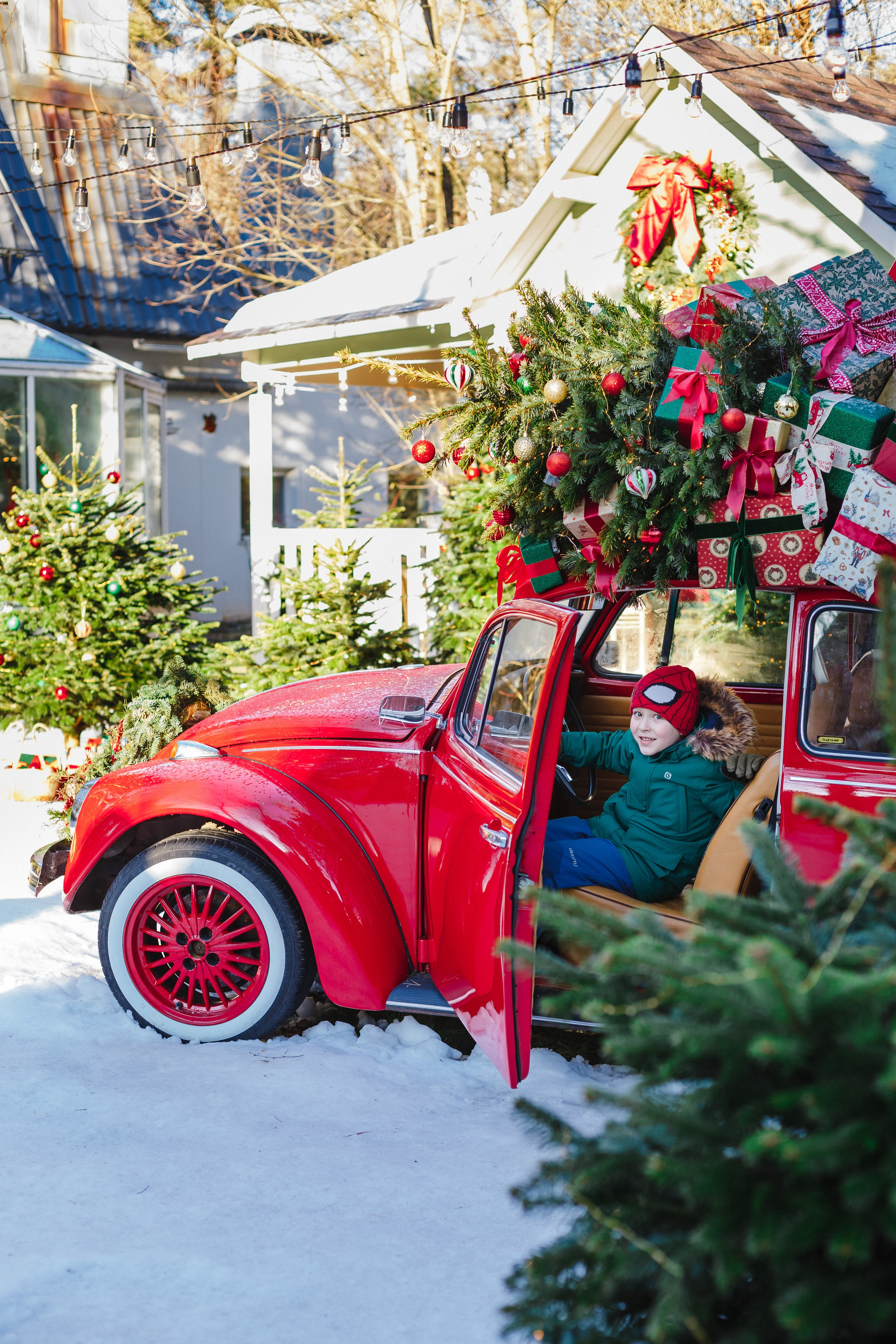 Зимняя сказка. Семейный фотограф Николаева Ольга