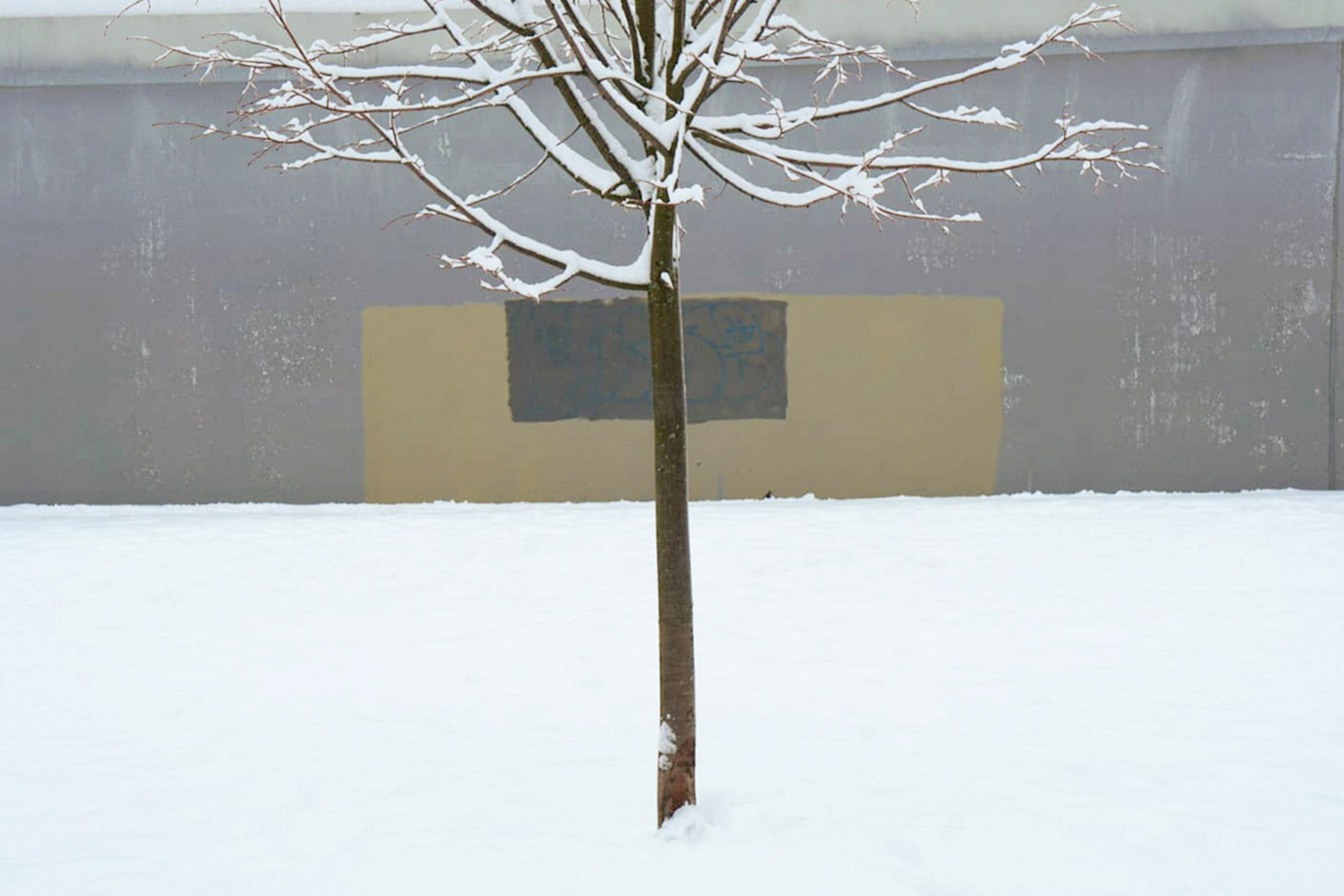 Симуляторы (Каталог № 3). Главная