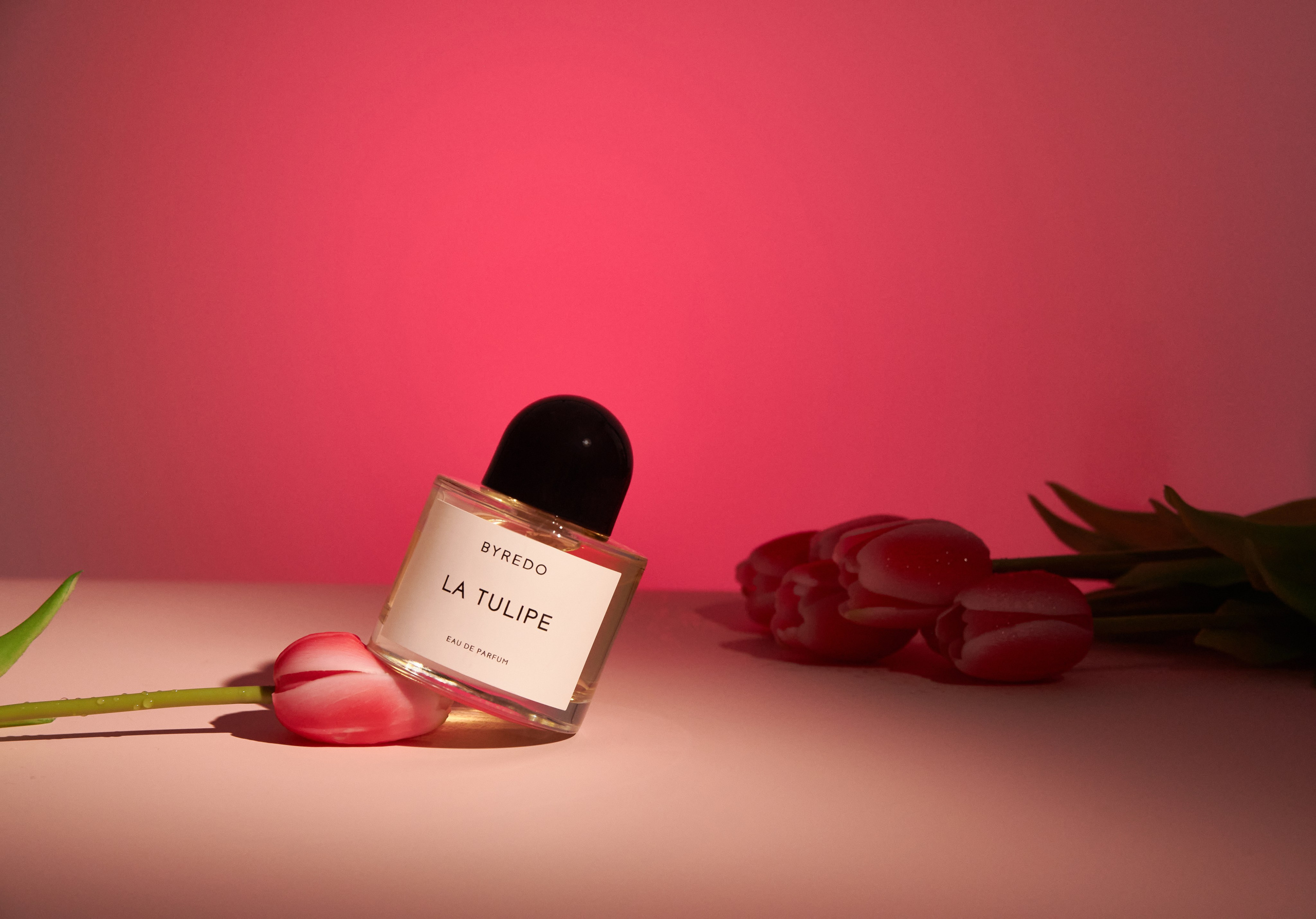 Профессиональная предметная съёмка