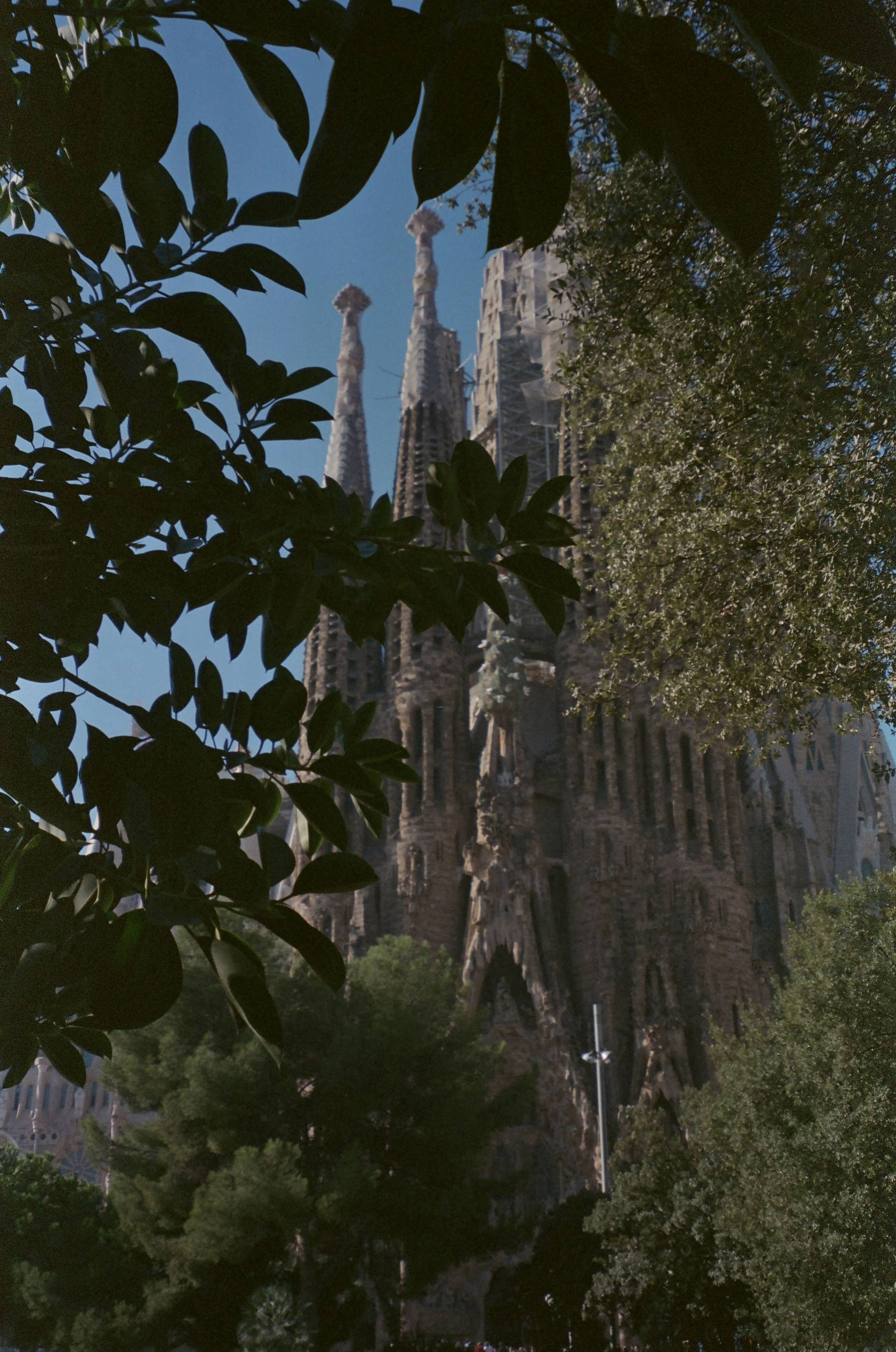 Places. TATIANA DARINA — film photographer in St. Petersburg