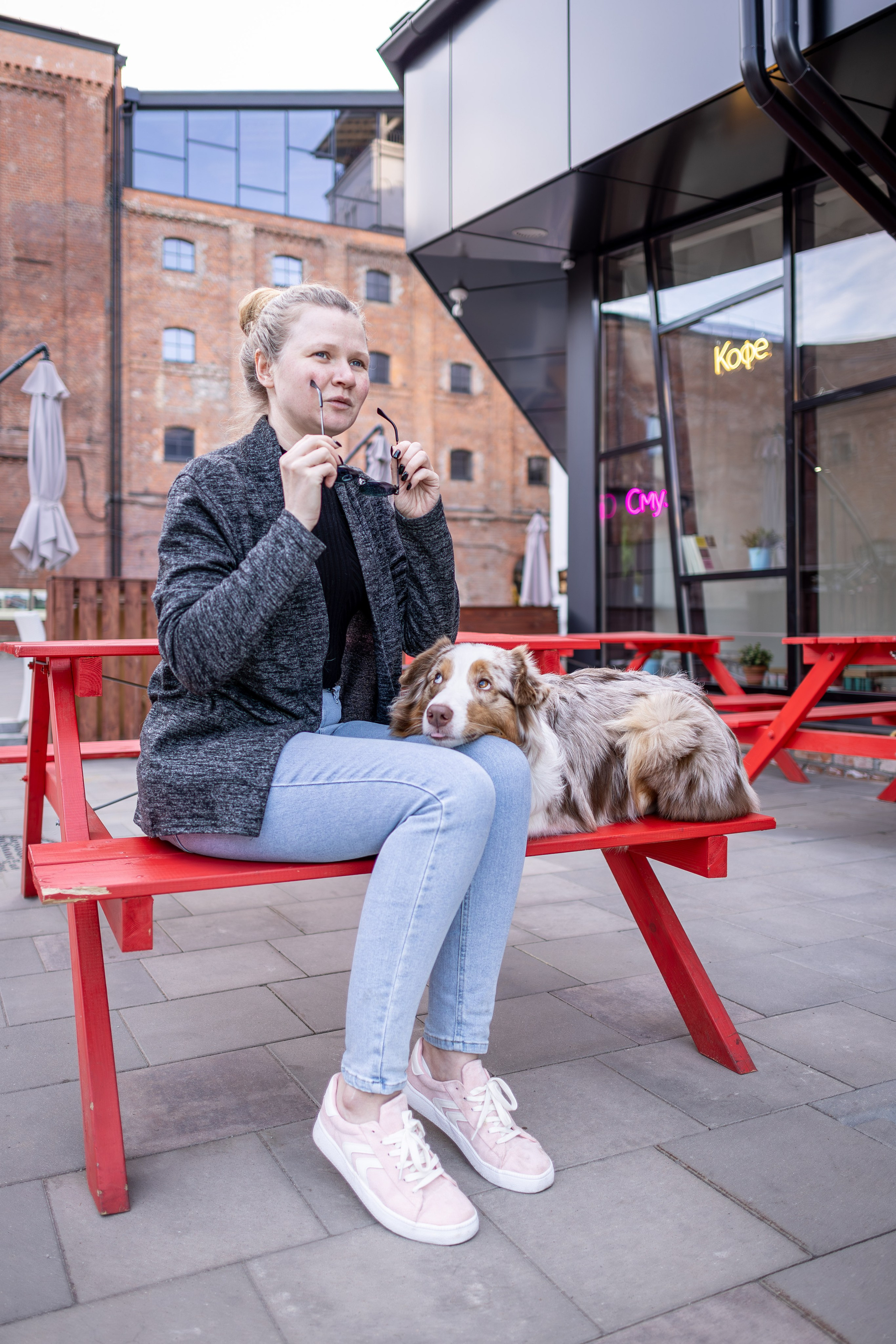 Полли, Австралийская Овчарка. Ирина Голомб|Фотограф-анималист в  Сочи и Калининграде