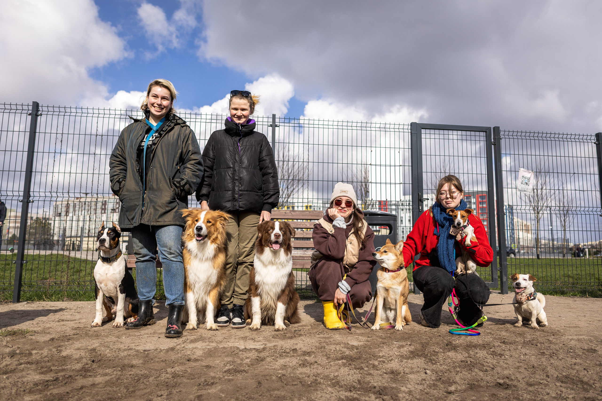 Догтуса 24.03.2024. Ирина Голомб|Фотограф-анималист в  Сочи и Калининграде