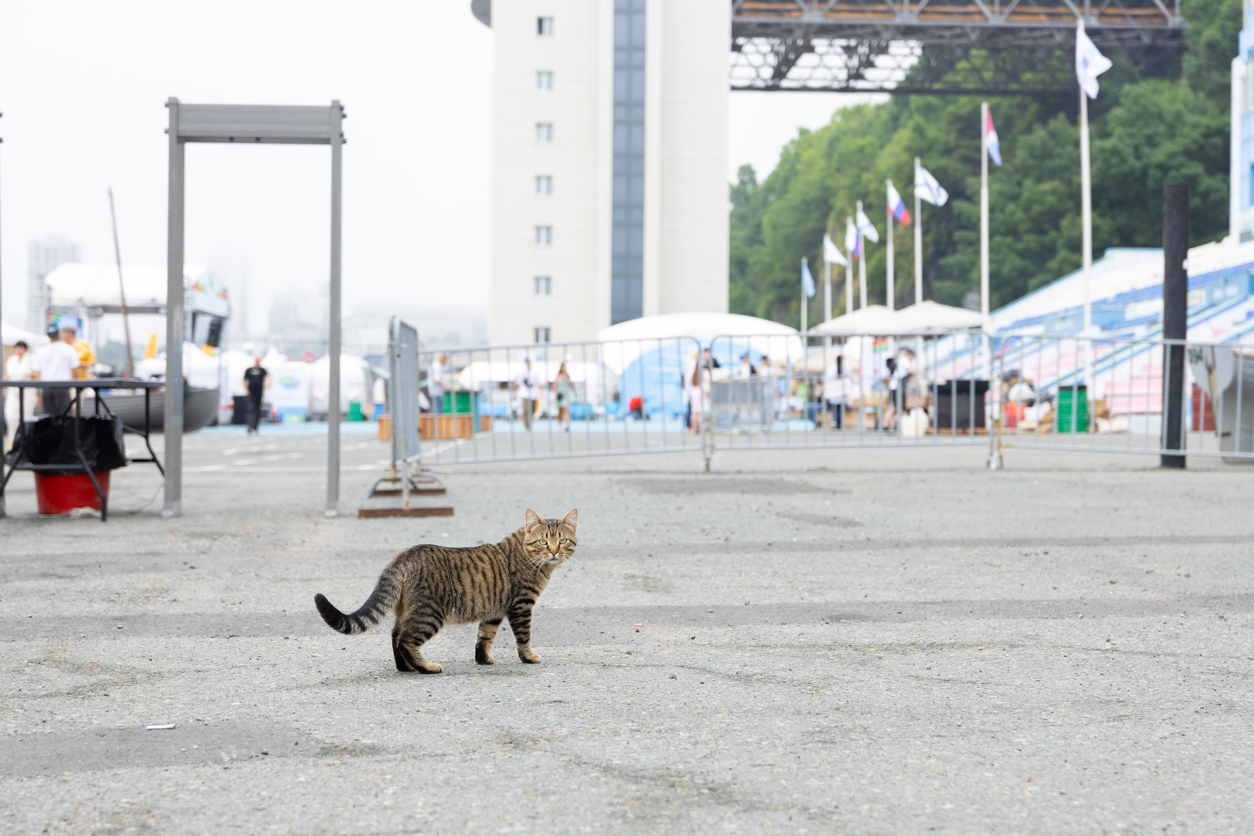 День рыбака. Владивосток 2025. Олег Катакинов| Репортажный фотограф в городе у моря (Владивосток)