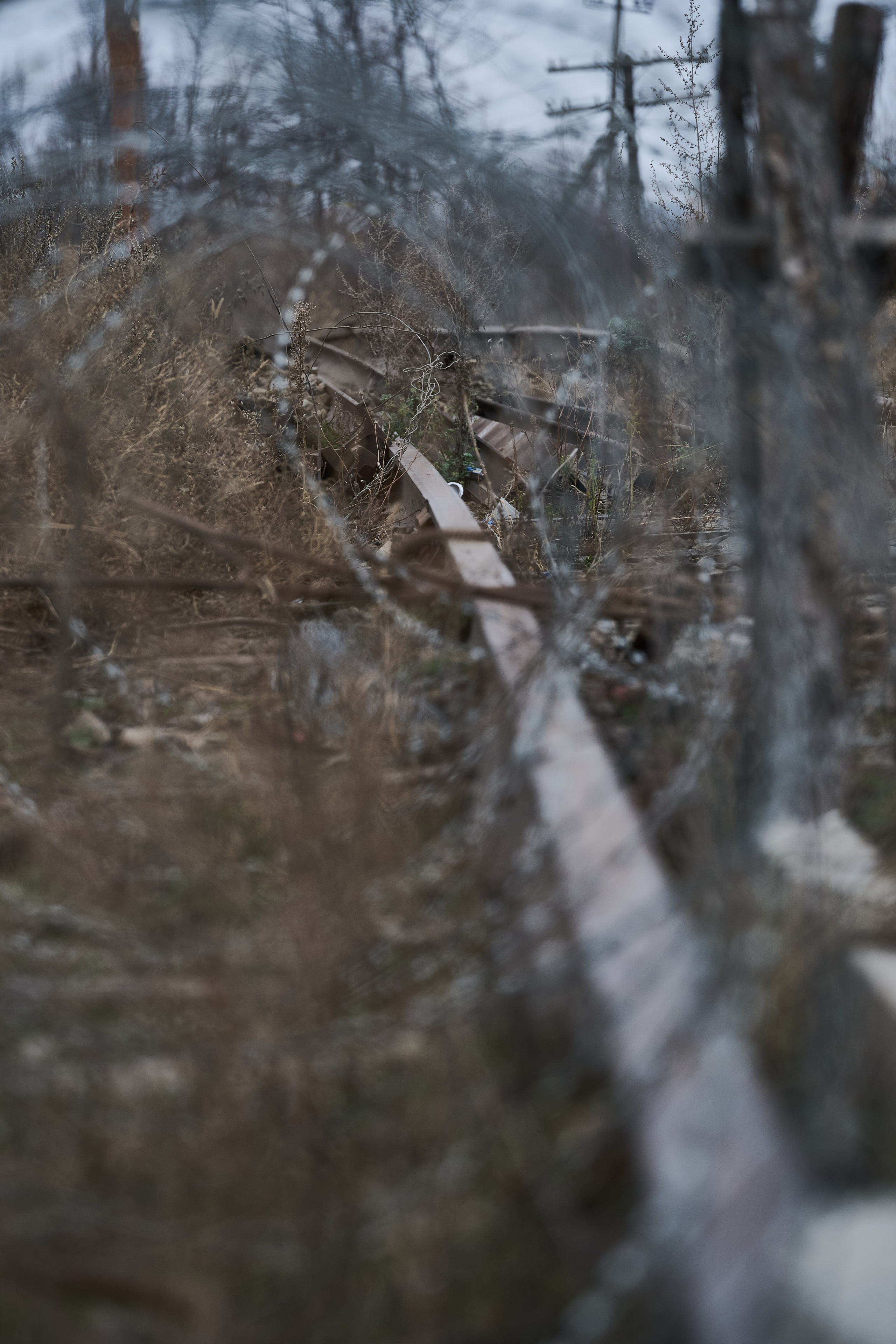 Краснореченское. Луганская область. Фотопроект «Территории»