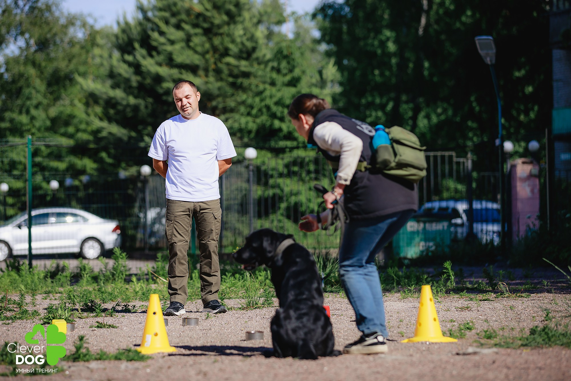 Семинар по поиску запаха с Иваном Ломовым, организатор CleverDog, СПб. Фотограф-анималист Mary Mart — Москва, Питер
