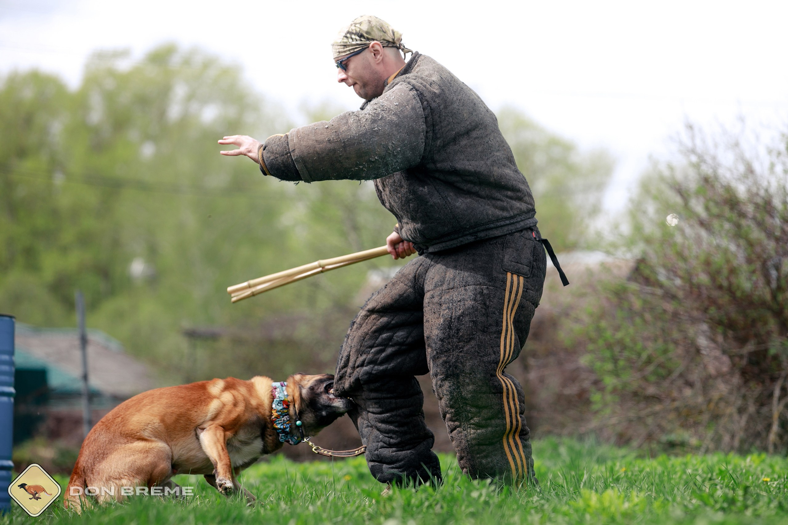 Семинар для фигурантов, день 2. Фотограф-анималист Mary Mart — Москва, Питер