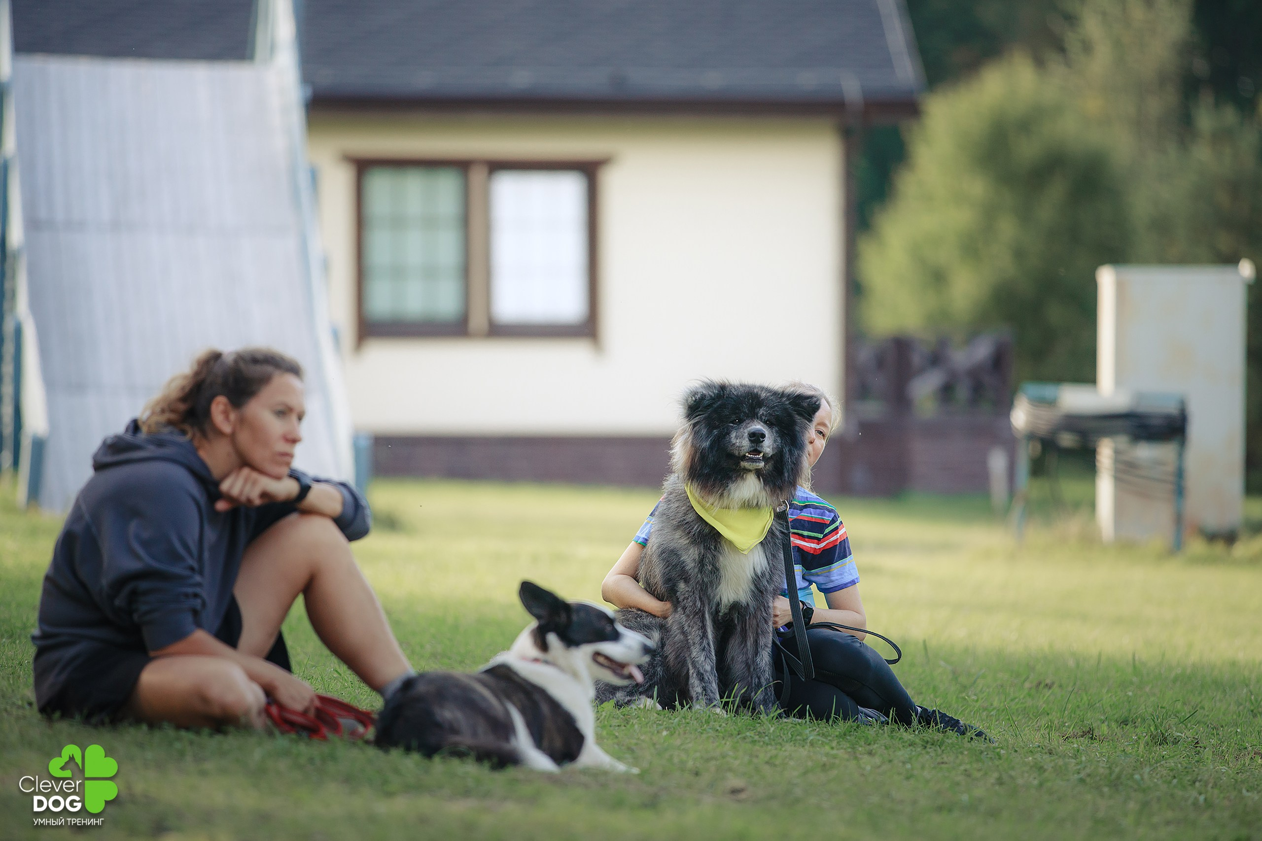 Кинологический лагерь CleverDog, 2024. Фотограф-анималист Mary Mart — Москва, Питер