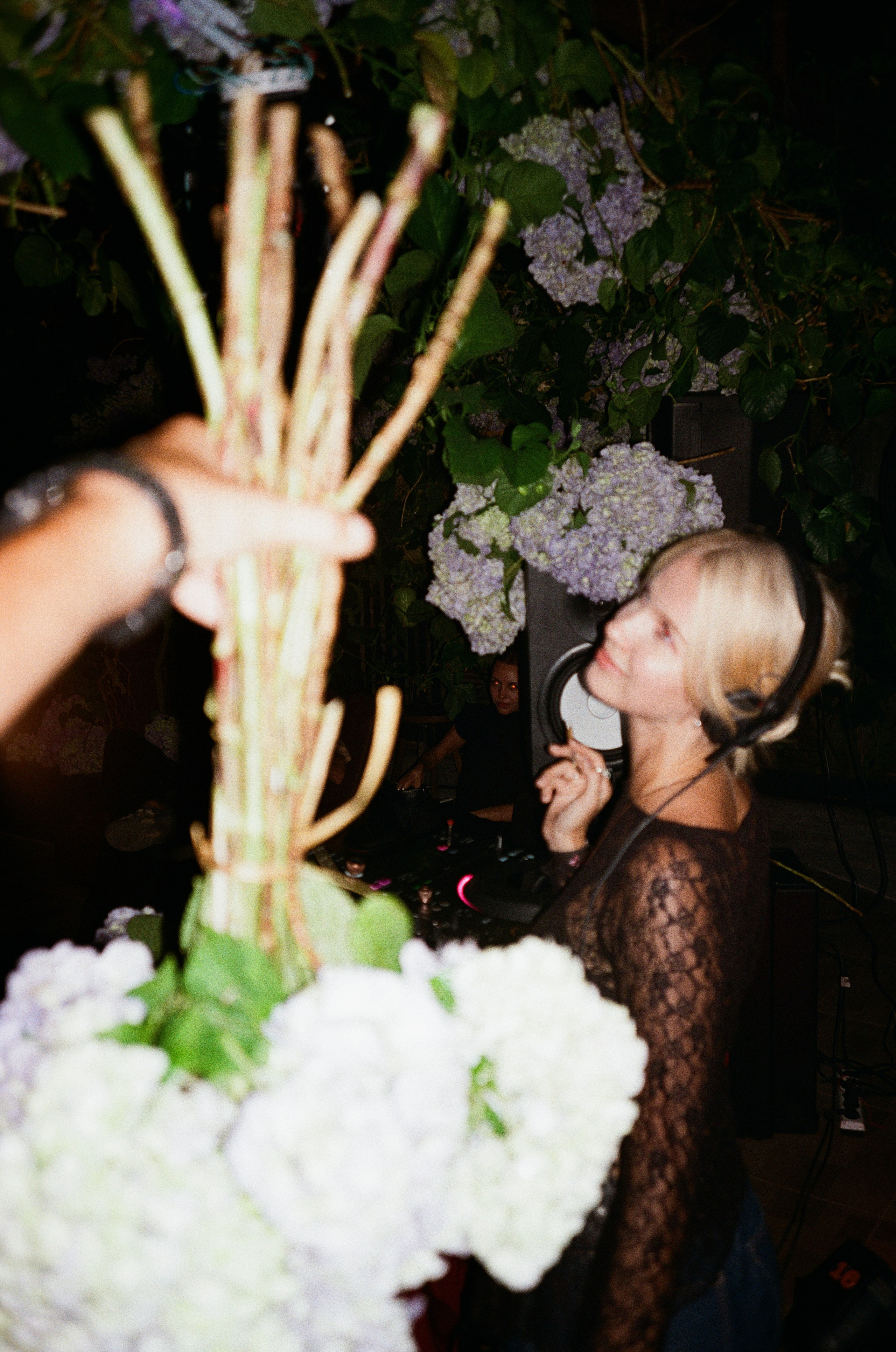 Radiocultura bali on film. Главная