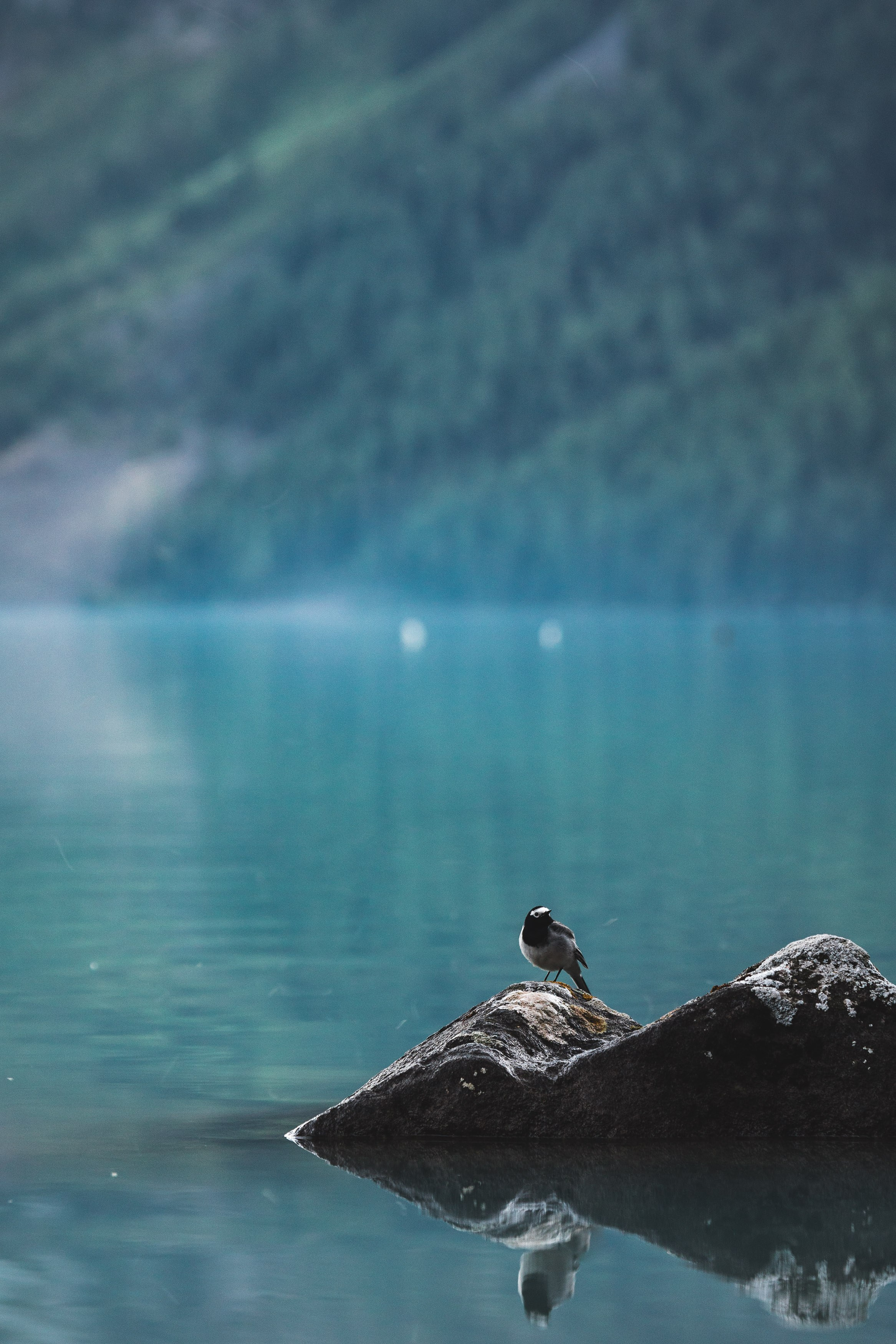 Алтай 21. Vazovsky Photography