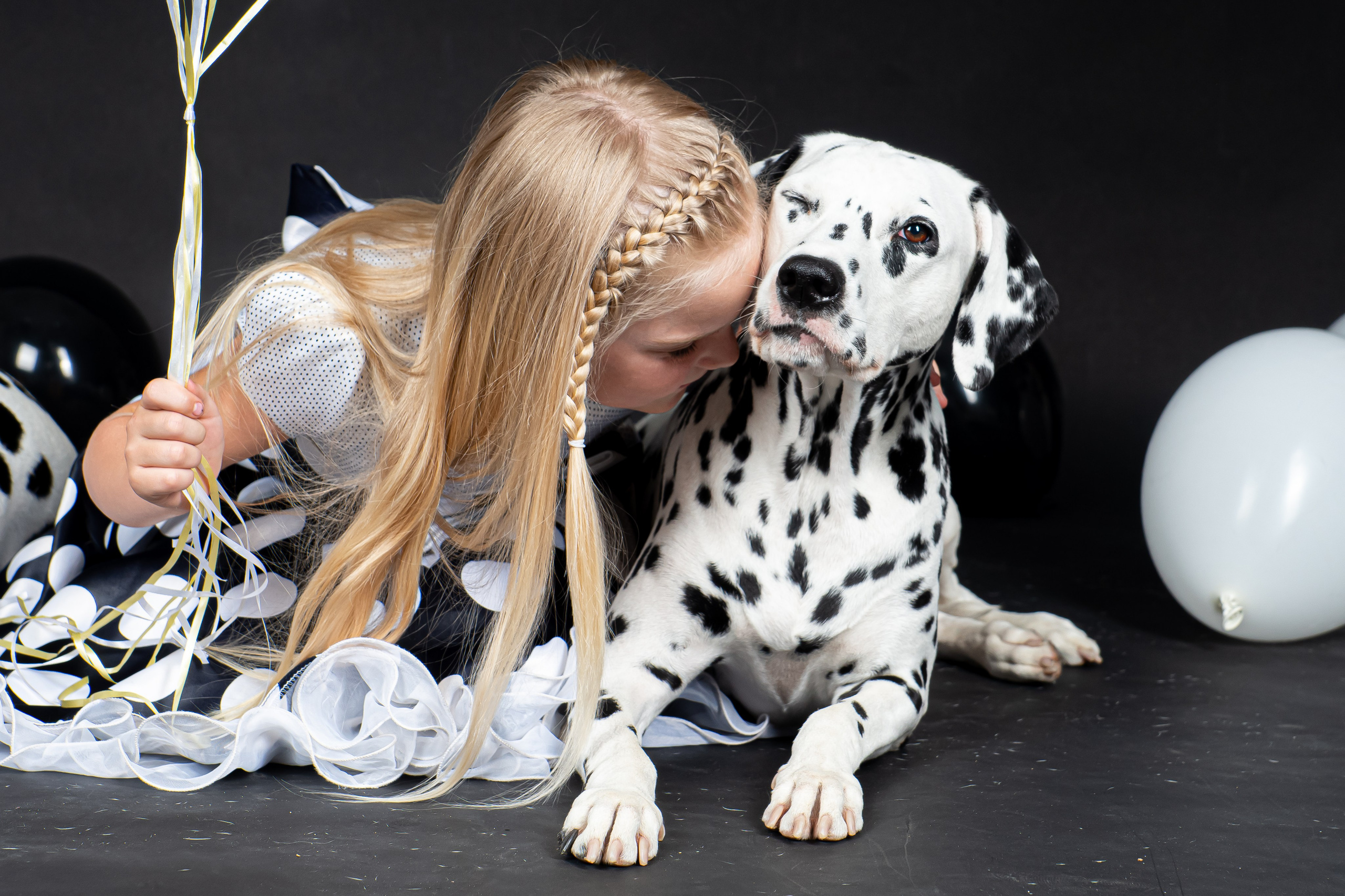Далматины 2024. Фотограф на Камчатке Анна Моргачёва. Семейные и детские съёмки
