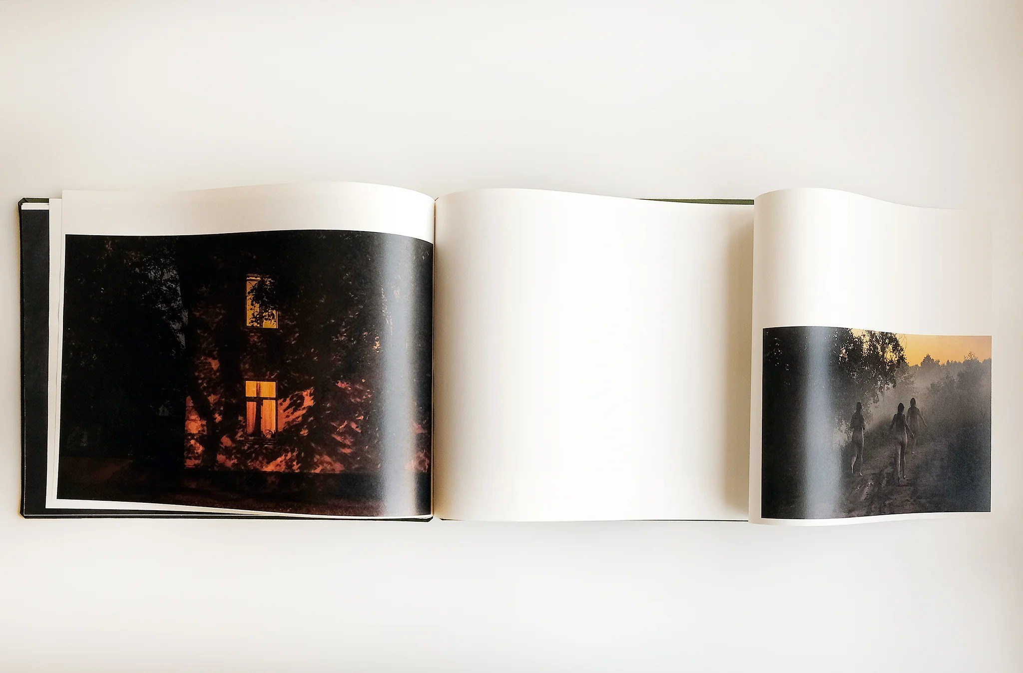 ПОПУЛЯРНЫЕ ОШИБКИ ПРИ СОЗДАНИИ ФОТОКНИГИ: Часть первая — про форму. Самоорганизация Низина