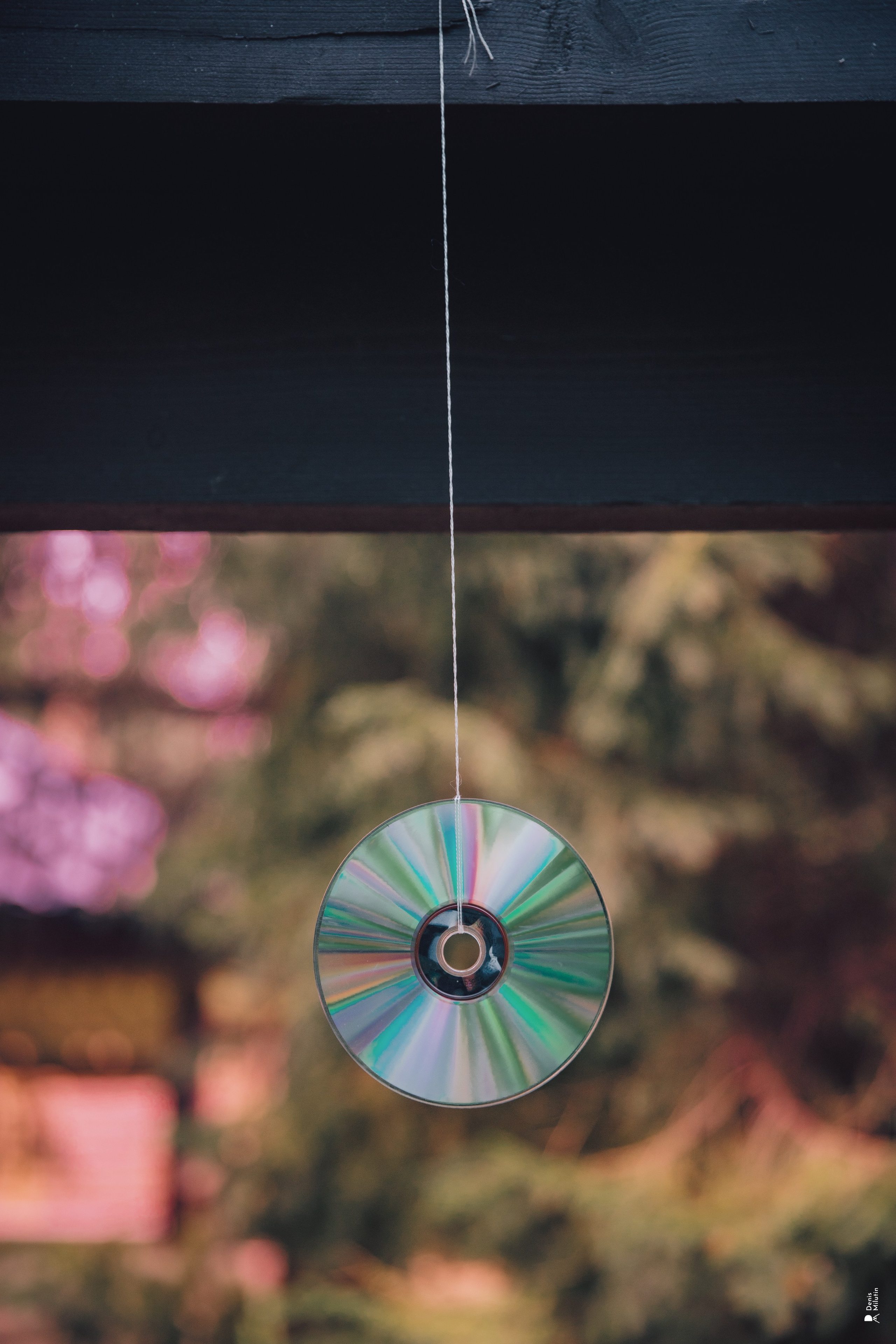 Женский Митрофаниевский скит Важеозерского мужского монастыря. Портретный фотограф Денис Милютин