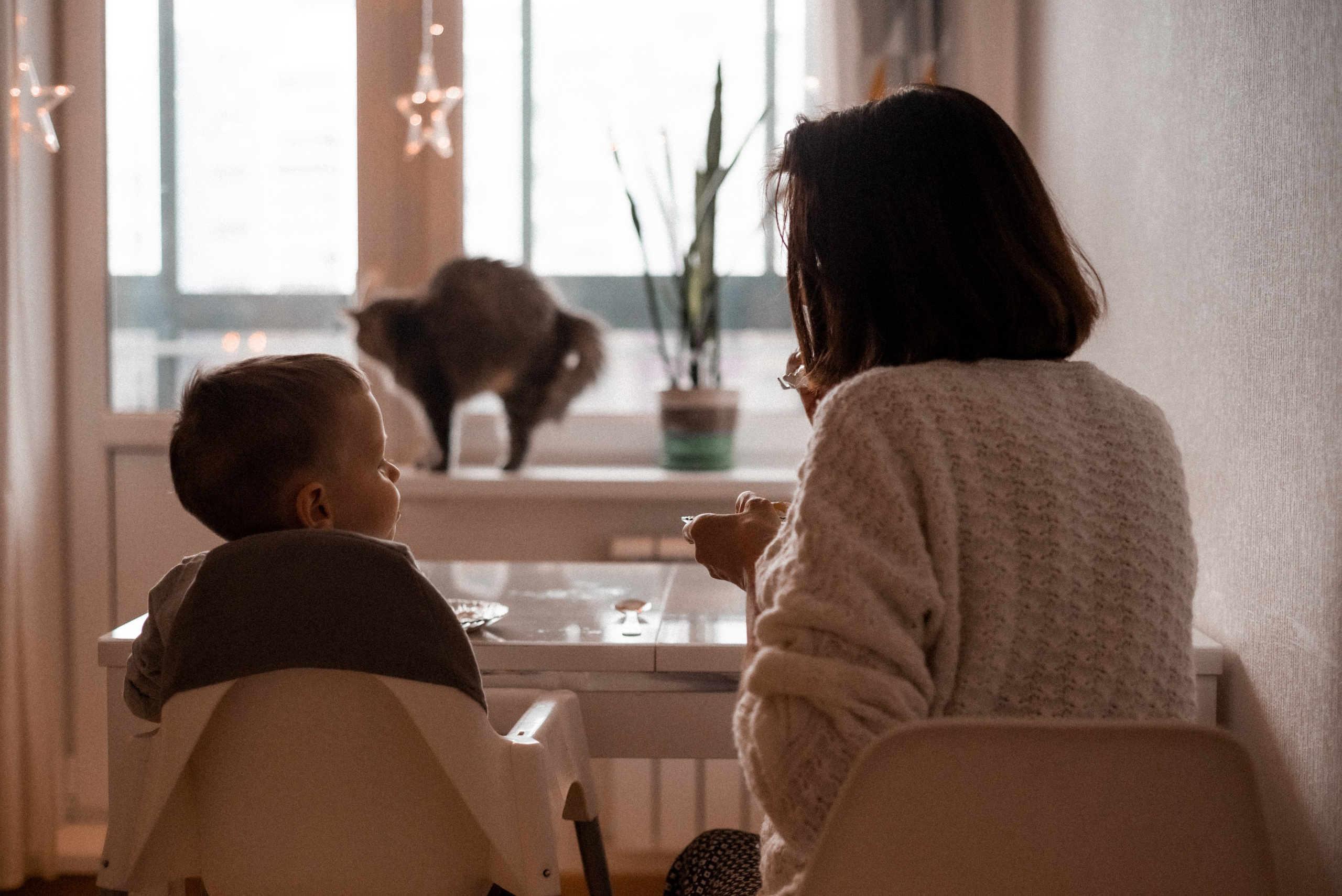 Сырники. Портретный фотограф в Петрозаводске Татьяна Лебедева