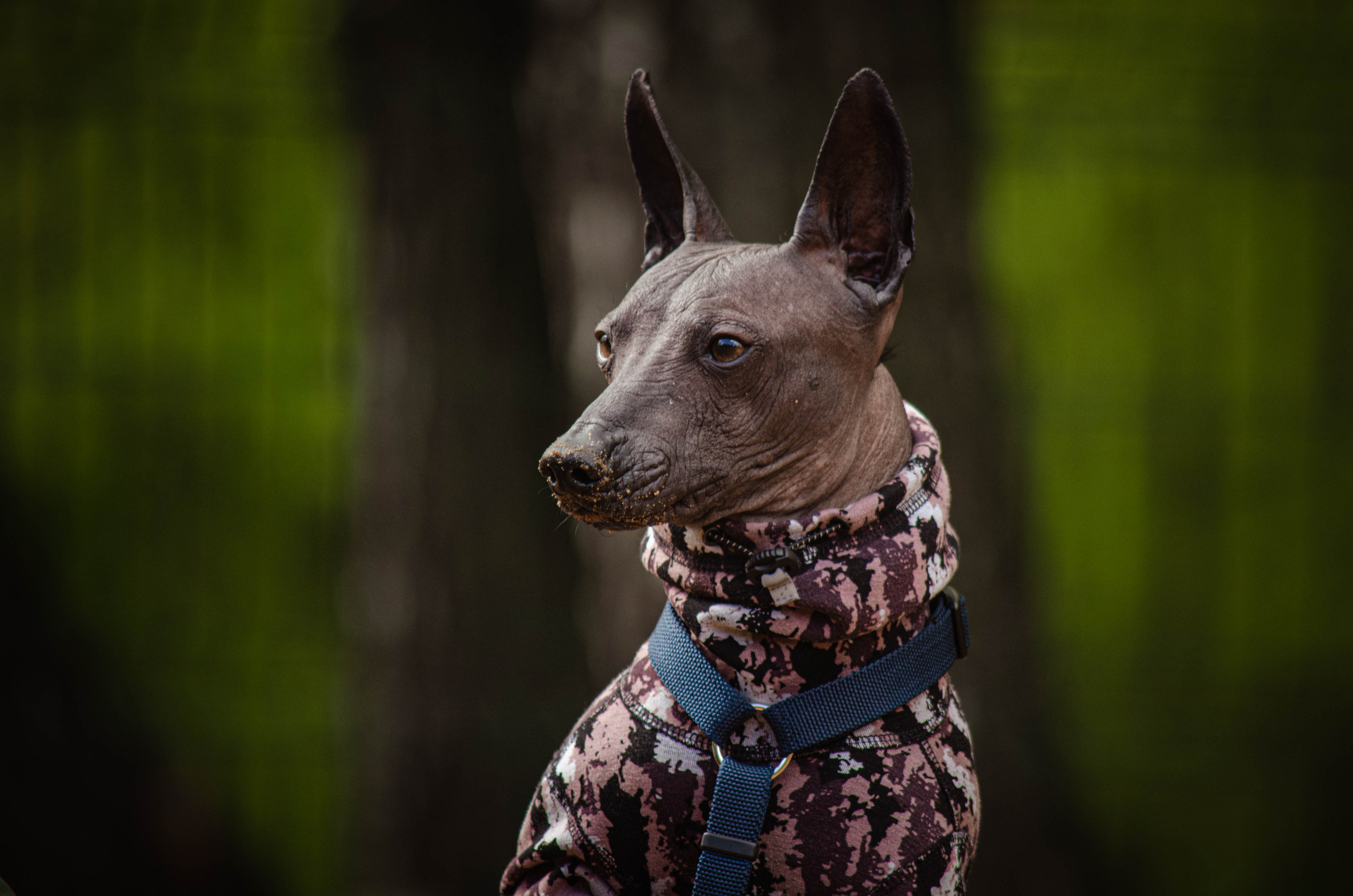Сёма. Фотограф Светлана Блинова, Москва и Московская область
