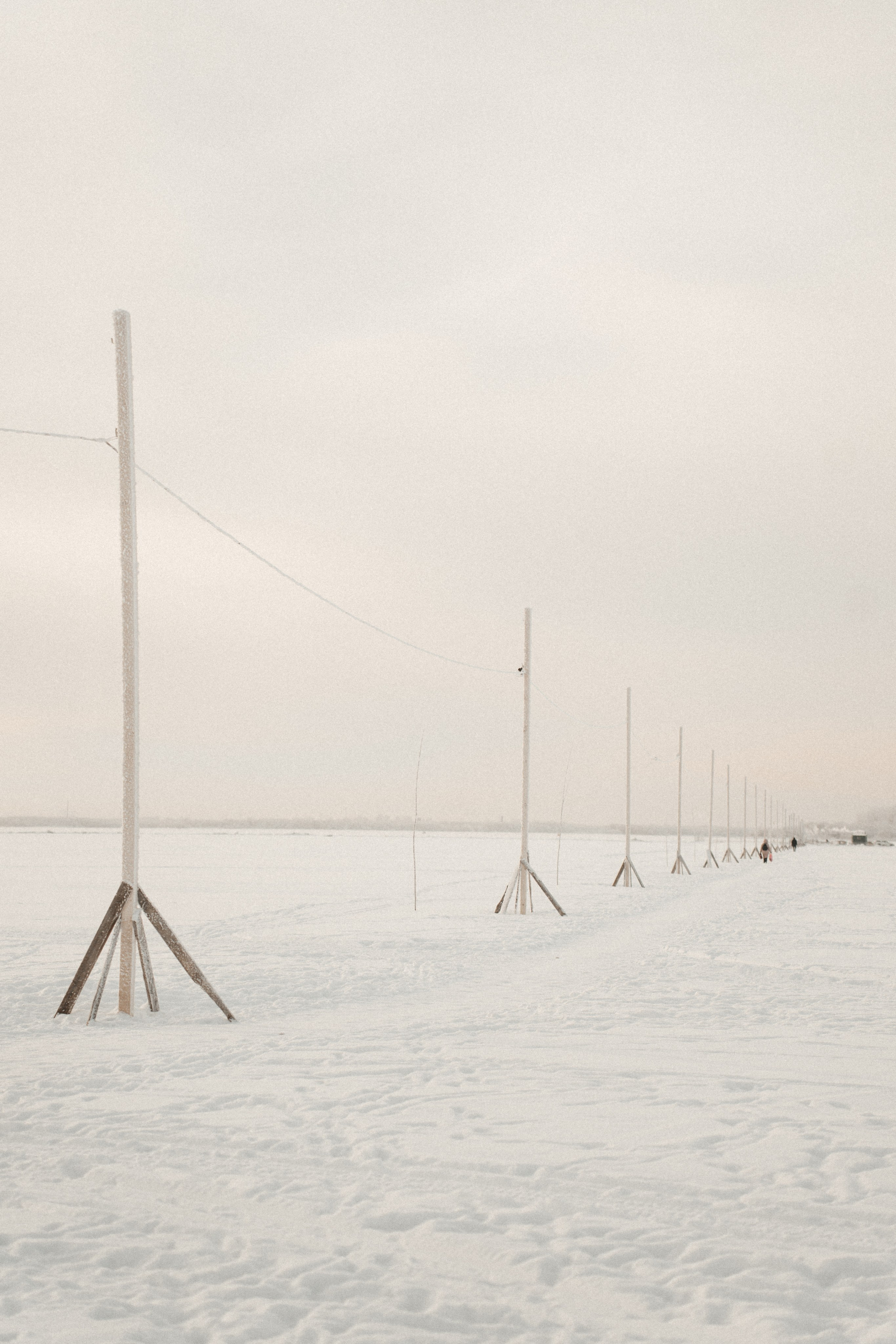 [our pulses aligned…]. Фотограф в Архангельске