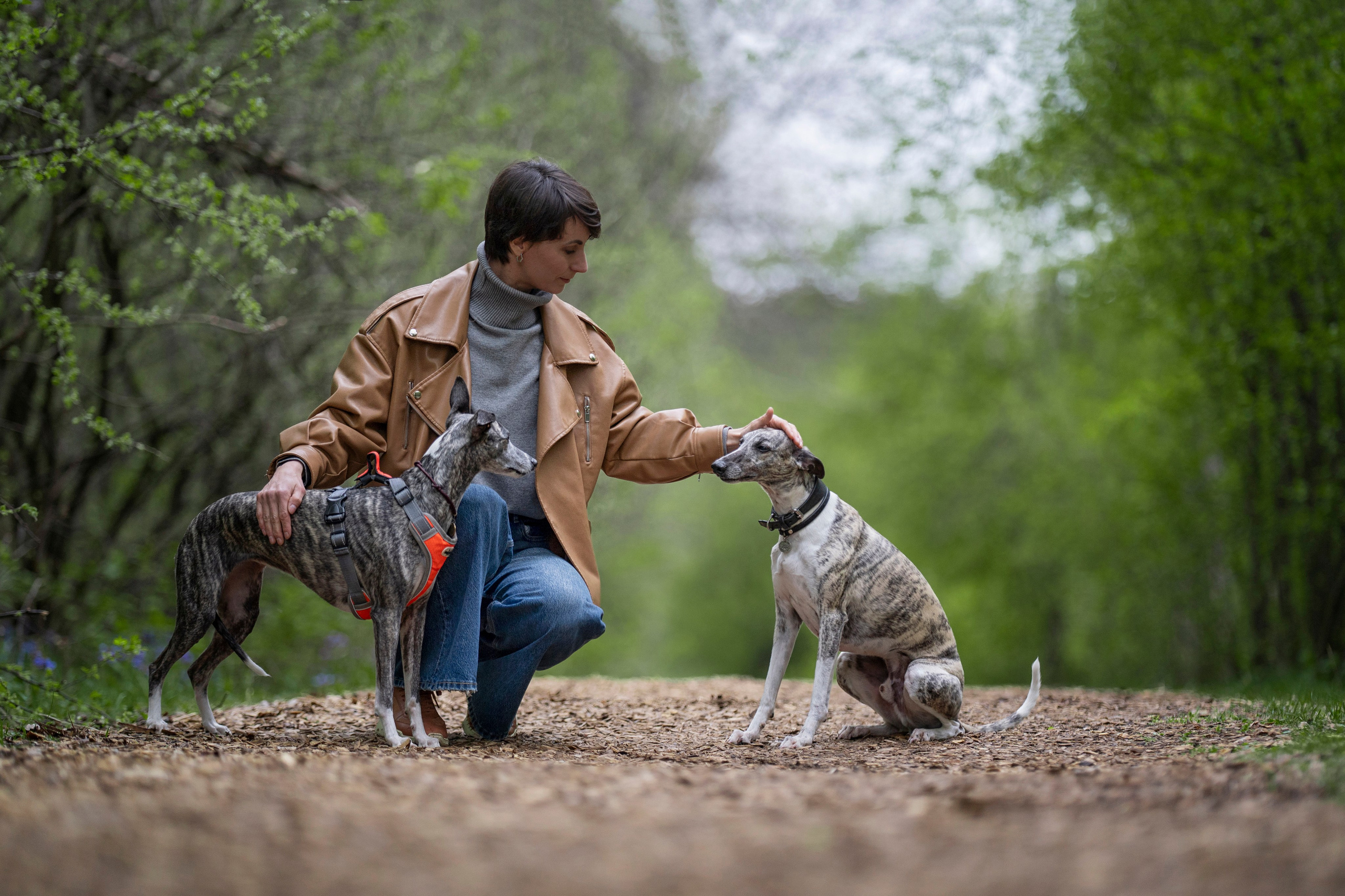 Ольга и ее красивые собаки. Kameramotor74
