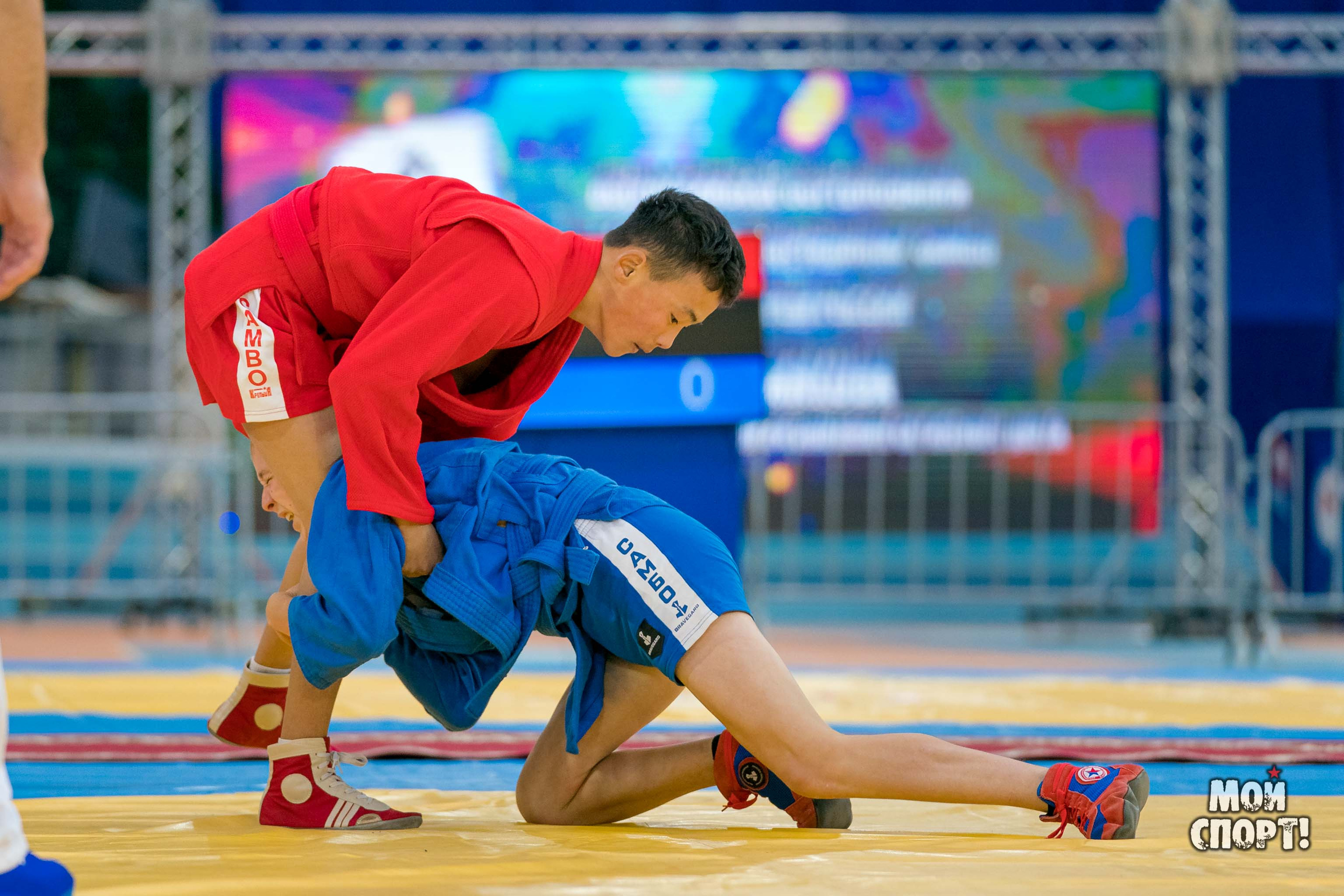 Всероссийские соревнования по боевому и спортивному самбо пам. А. А. Рыжикова. Студия «Мой Спорт!» — все о спорте в Якутии