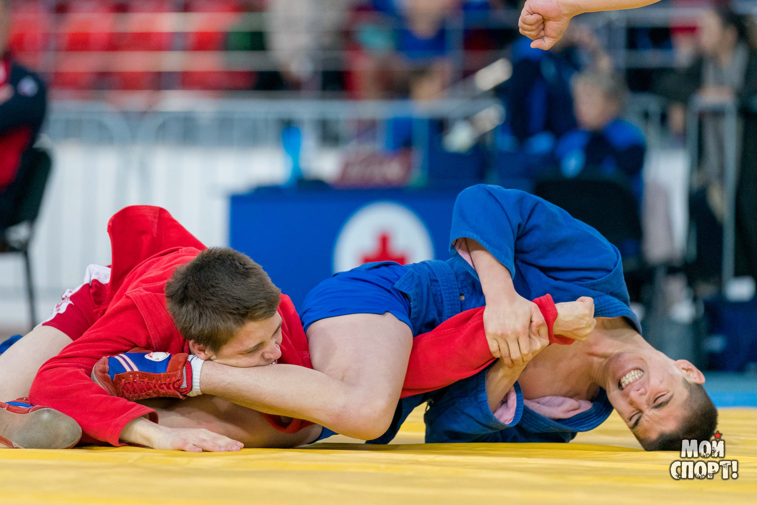 Всероссийские соревнования по боевому и спортивному самбо пам. А. А. Рыжикова. Студия «Мой Спорт!» — все о спорте в Якутии