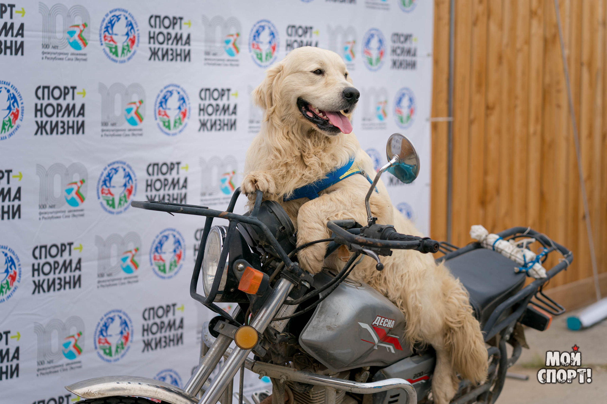 День физкультурника 2023. Студия «Мой Спорт!» — все о спорте в Якутии