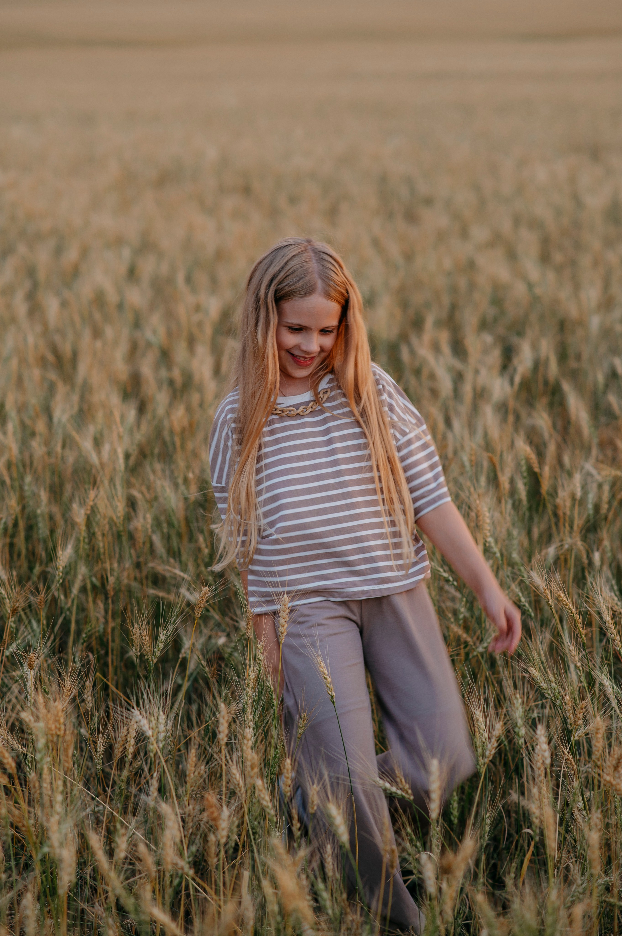 Пшеничный закат. Фотограф Дарья Семина