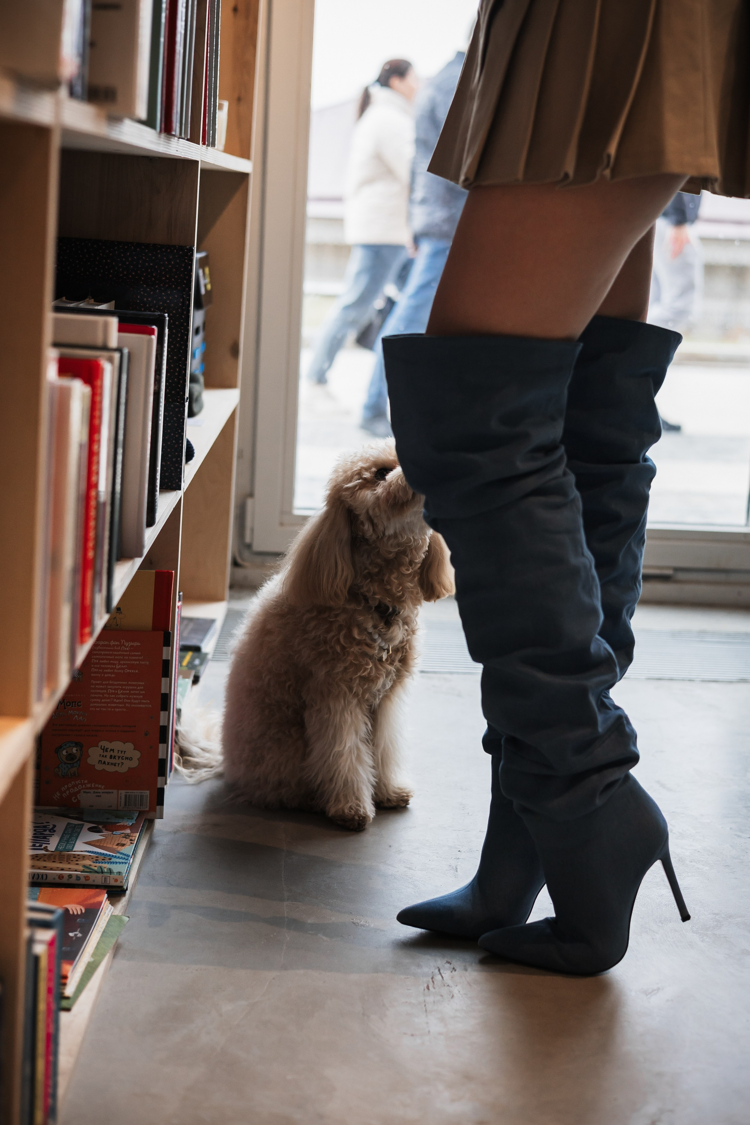 Алина — прогулка