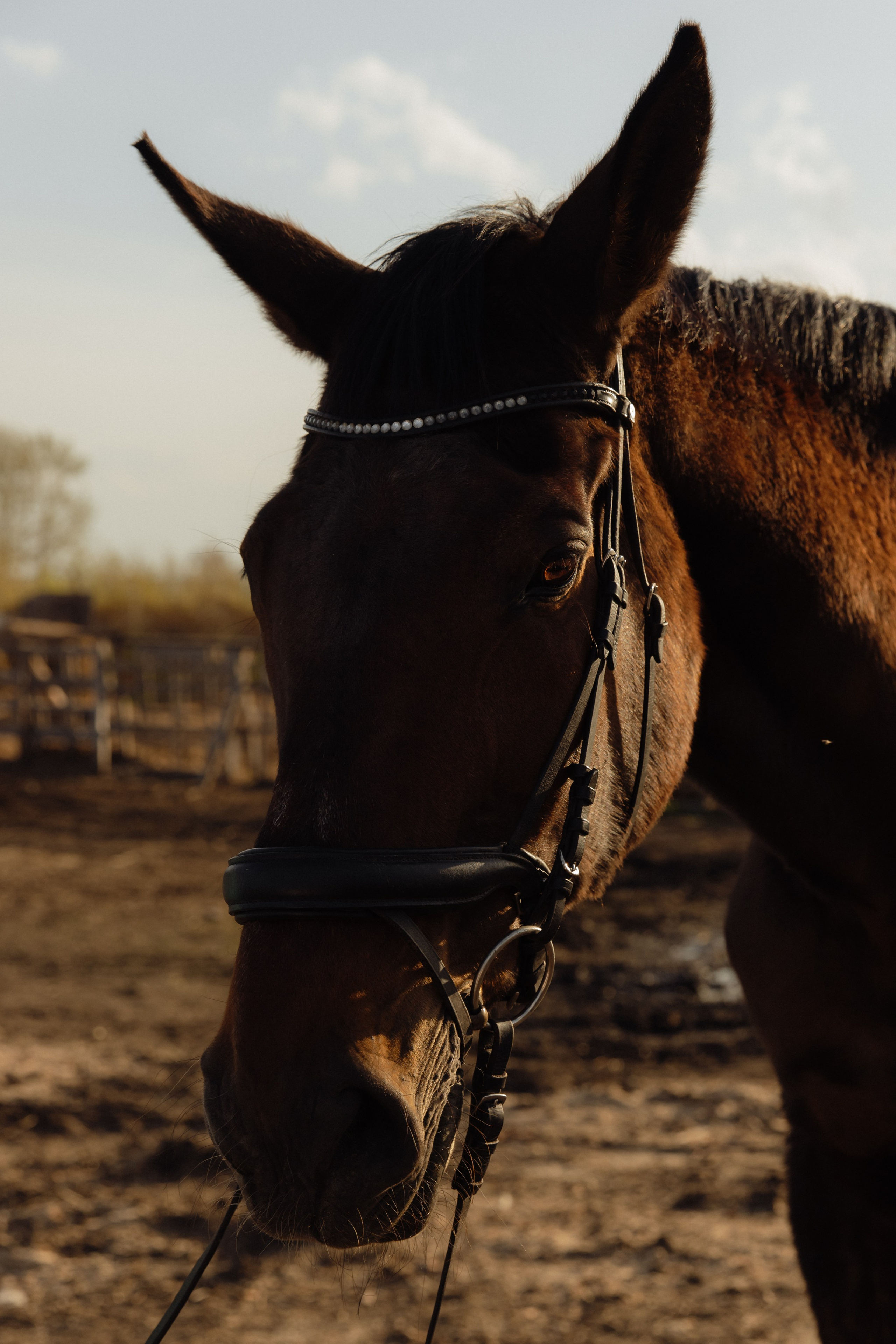 Сергей и Натали. Семейный и свадебный фотограф в Челябинске Мария Леонтьева