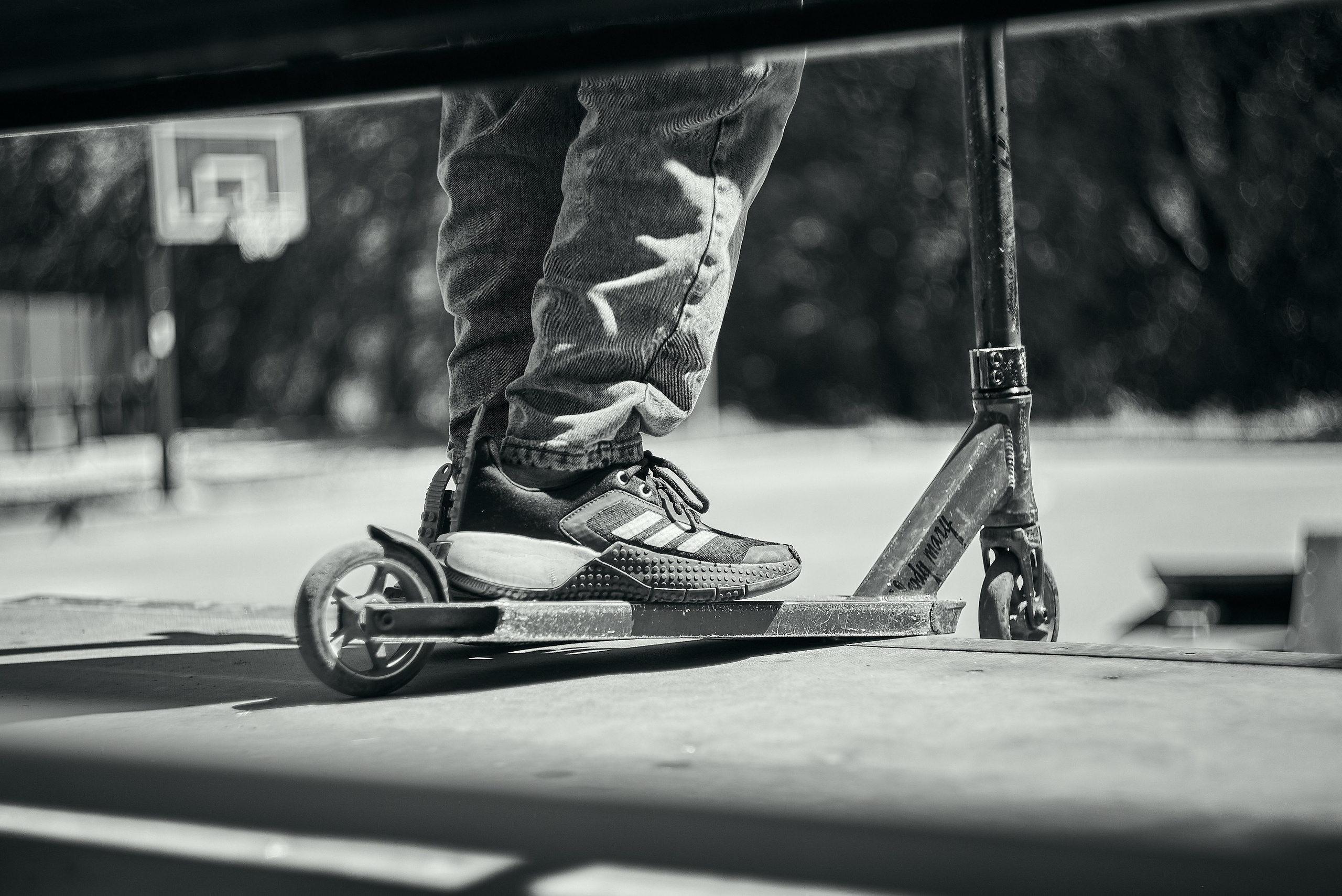 Nikon D850+Helios 44-2 2/58