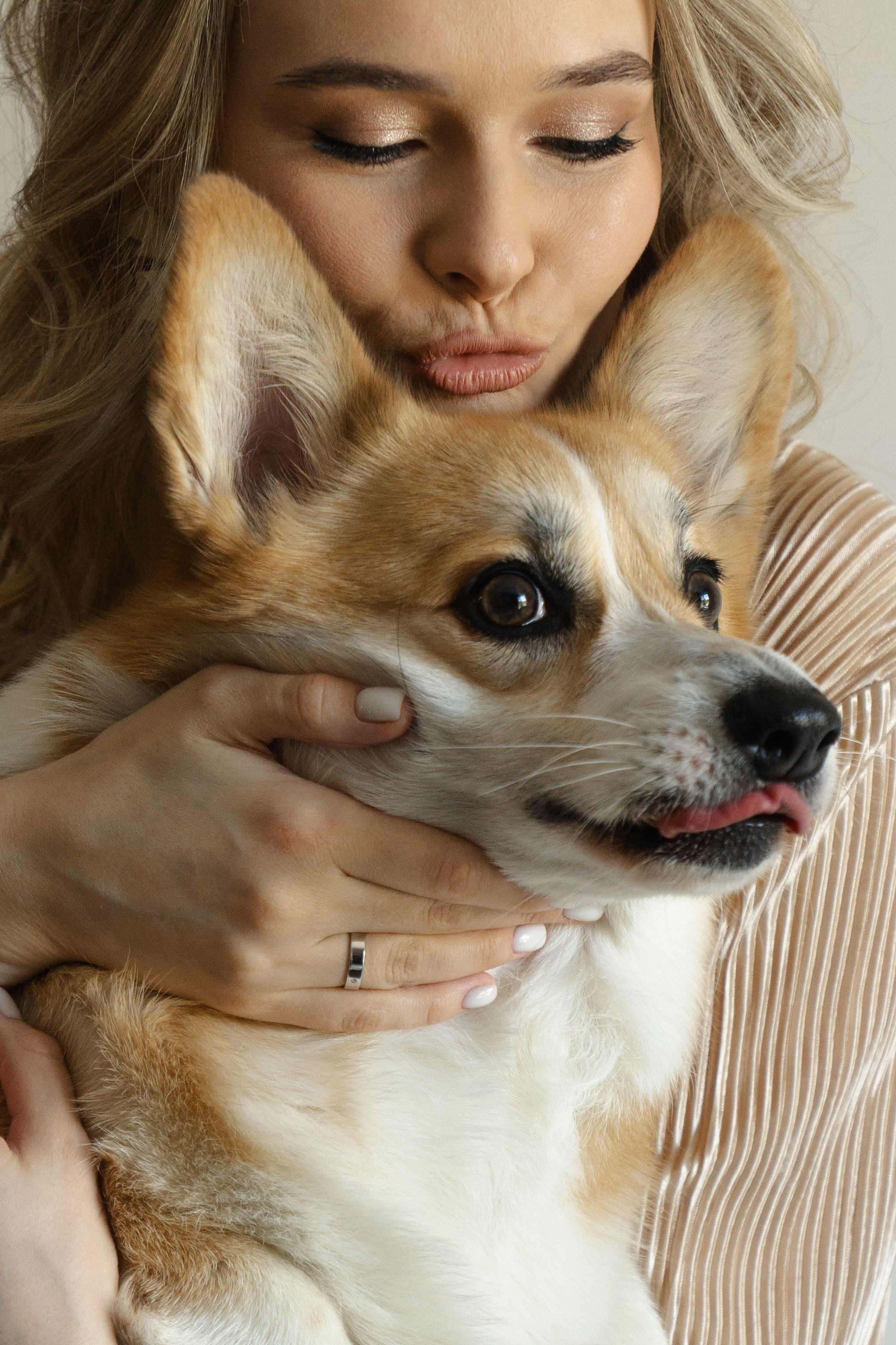 Четыре лапы. Свадебный фотограф Наташа Брифли