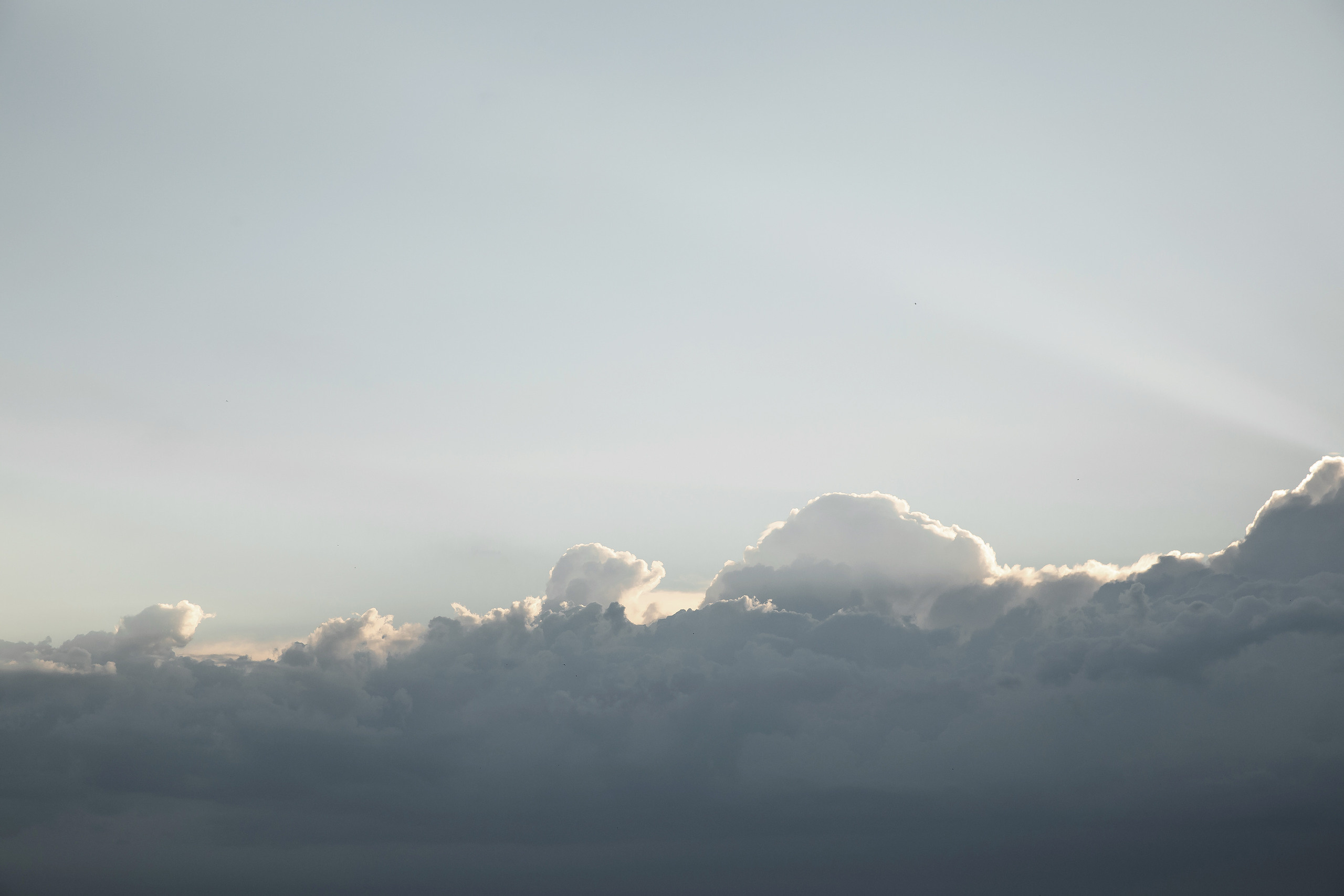 «Ты моя тишина» Константин и Кристина. Свадебный фотограф Колесников Антон