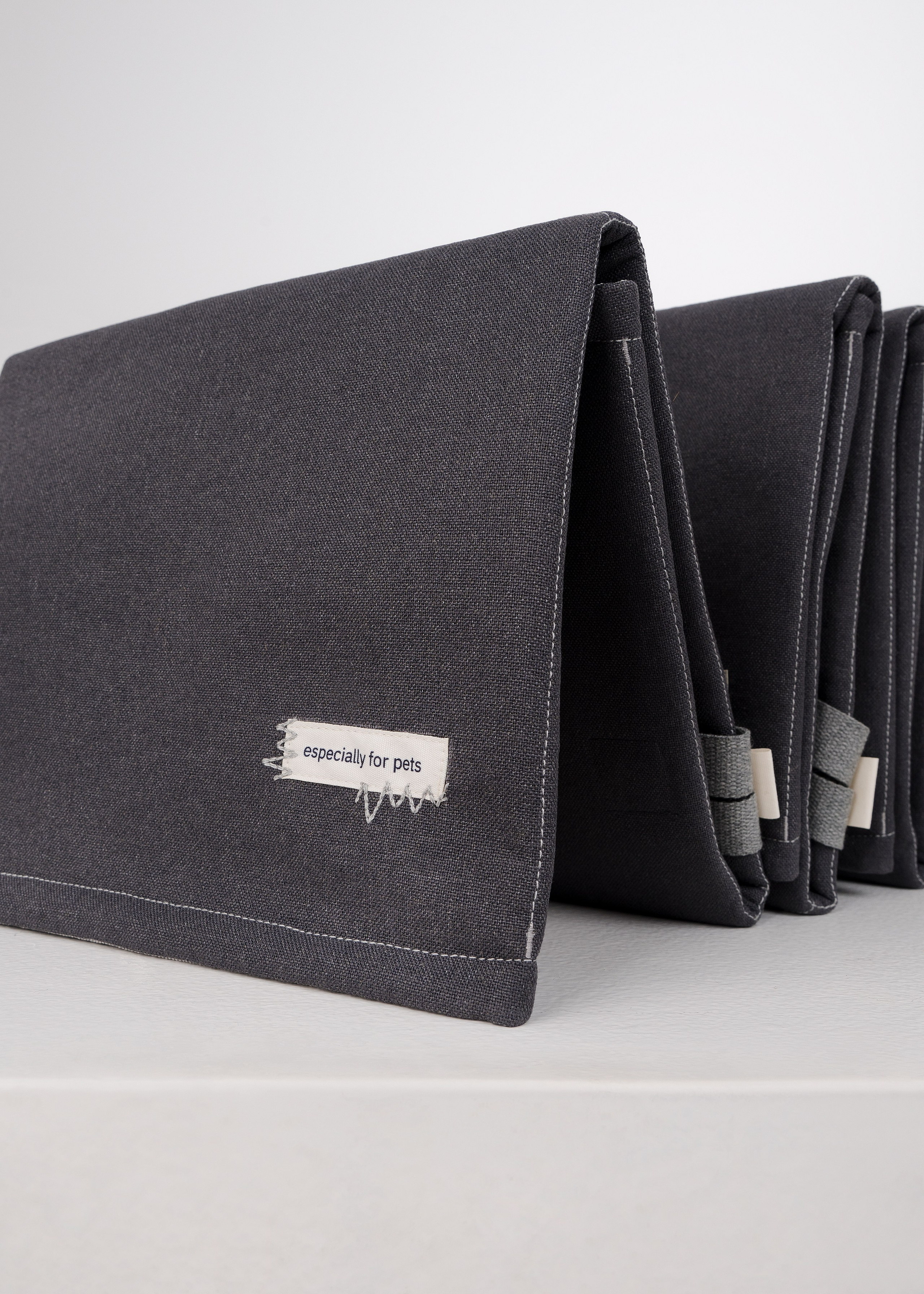 Bow-Wow. Фотограф- анималист Александра Матвеева