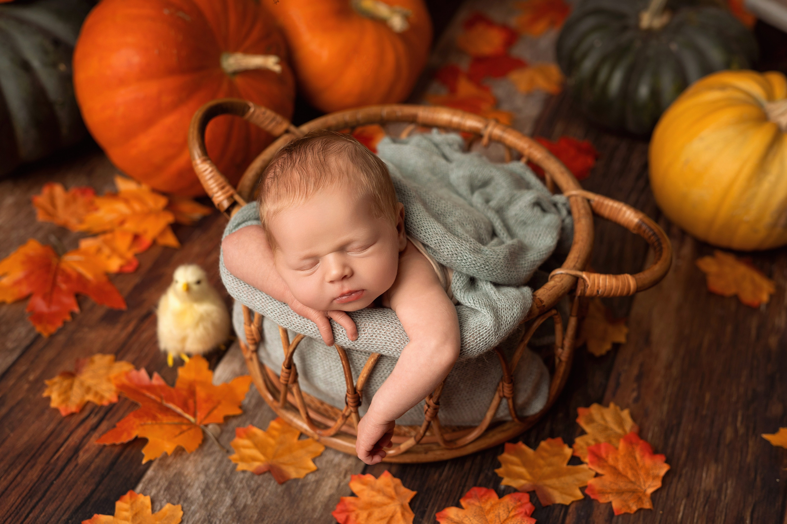 Фотосессия новорожденных в Рязани. Фотограф новорожденных г. Рязань, детский и семейный фотограф