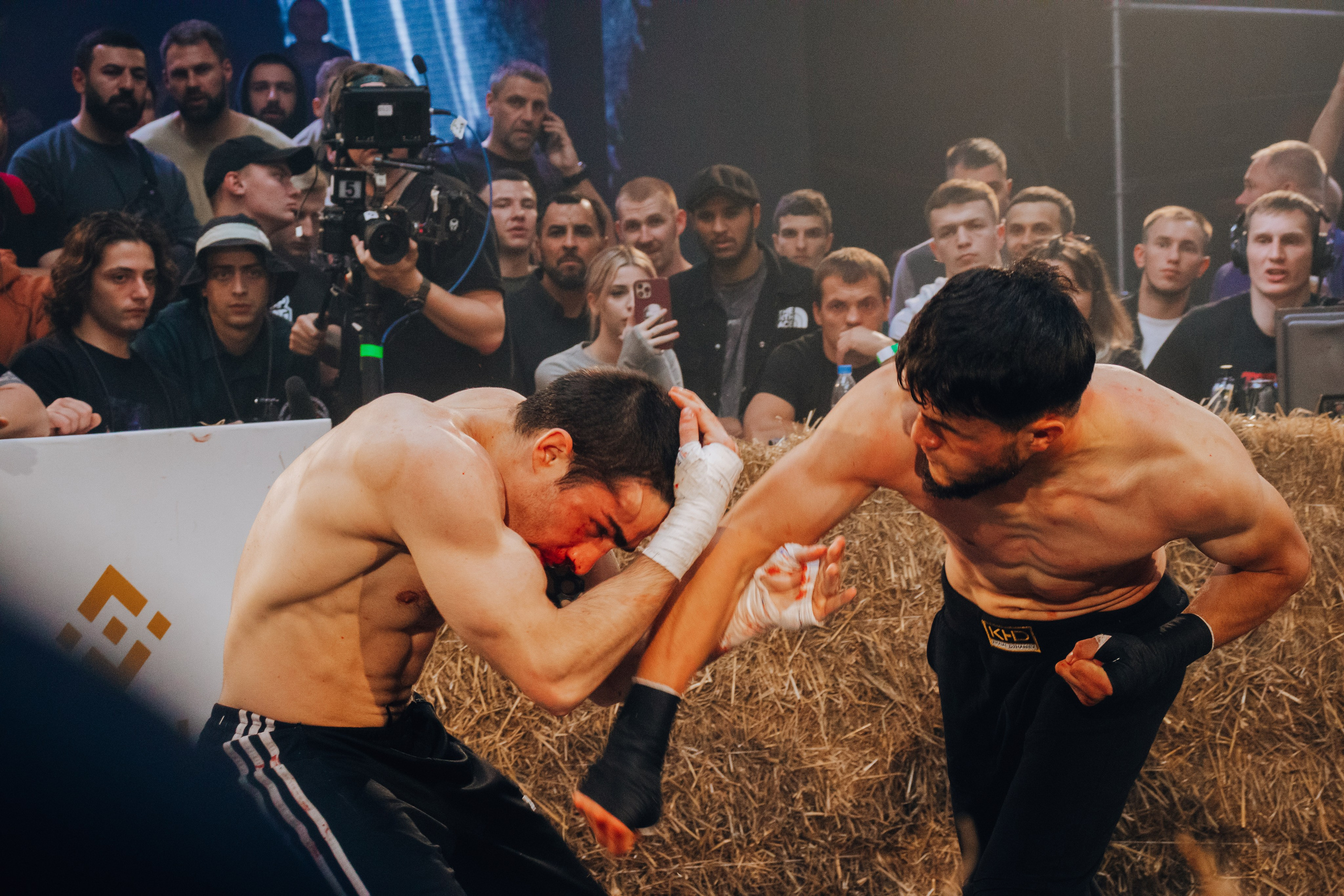 Кулачные бои TopDog. Анастасия Тен