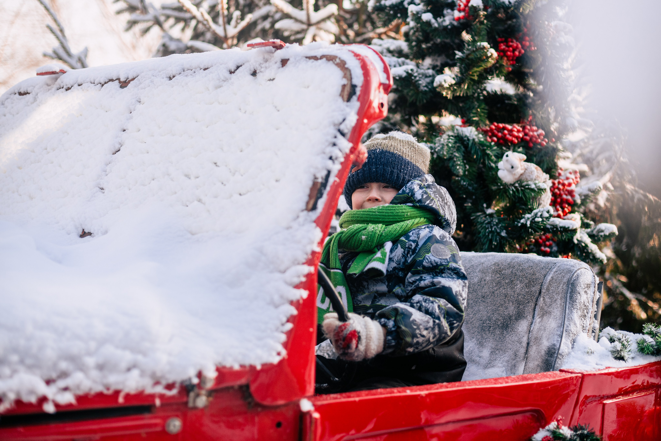 Зингер дача. Фотограф-анималист Татьяна Степанова